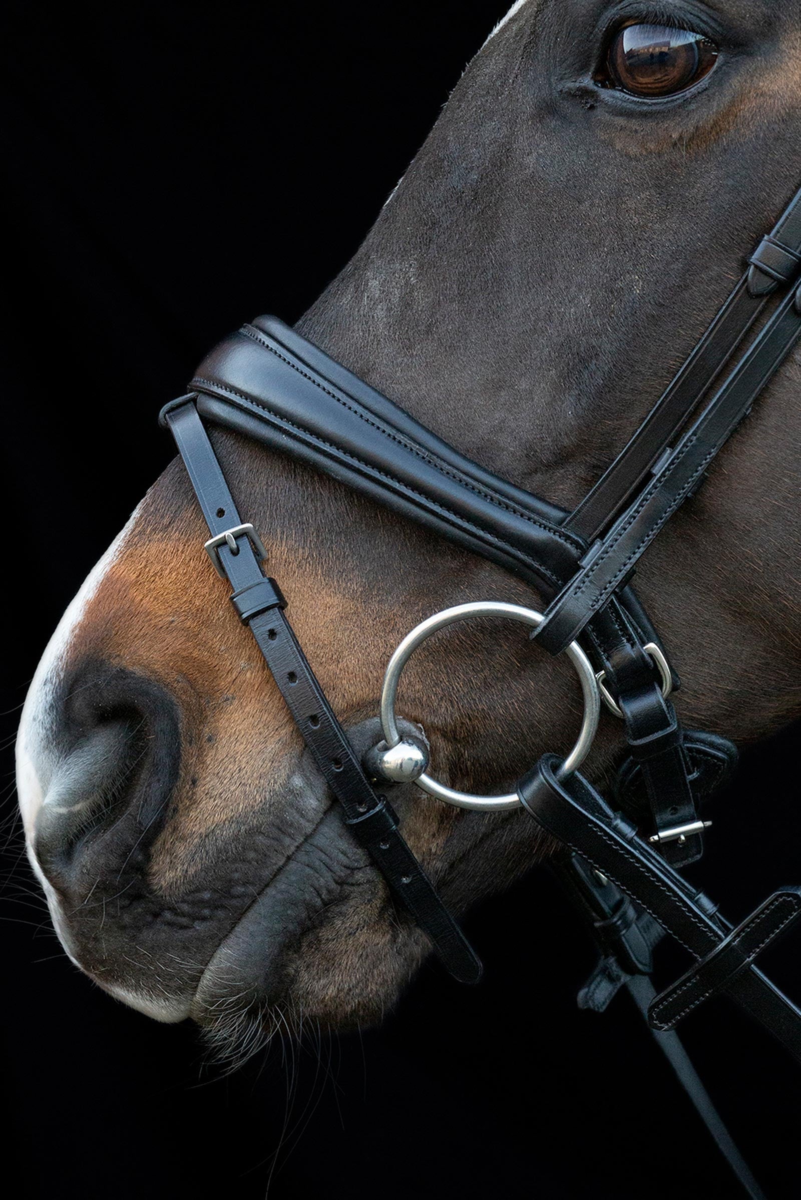 Schockemöhle Sports Charleston Bridle Bridles & Reins