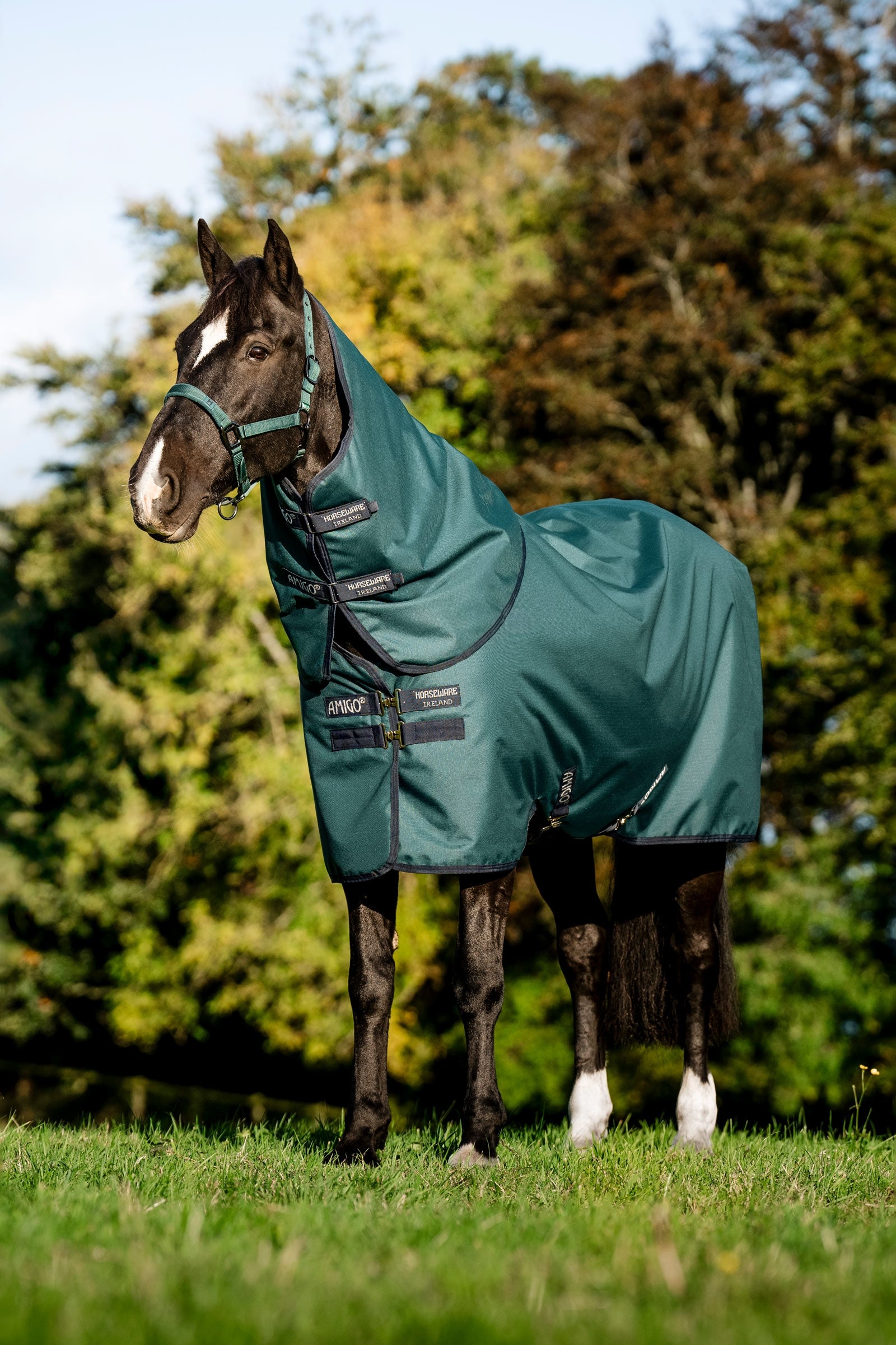 Horseware Amigo Ripstop 900D Plus pony regendeken, 50 g Paardendekens