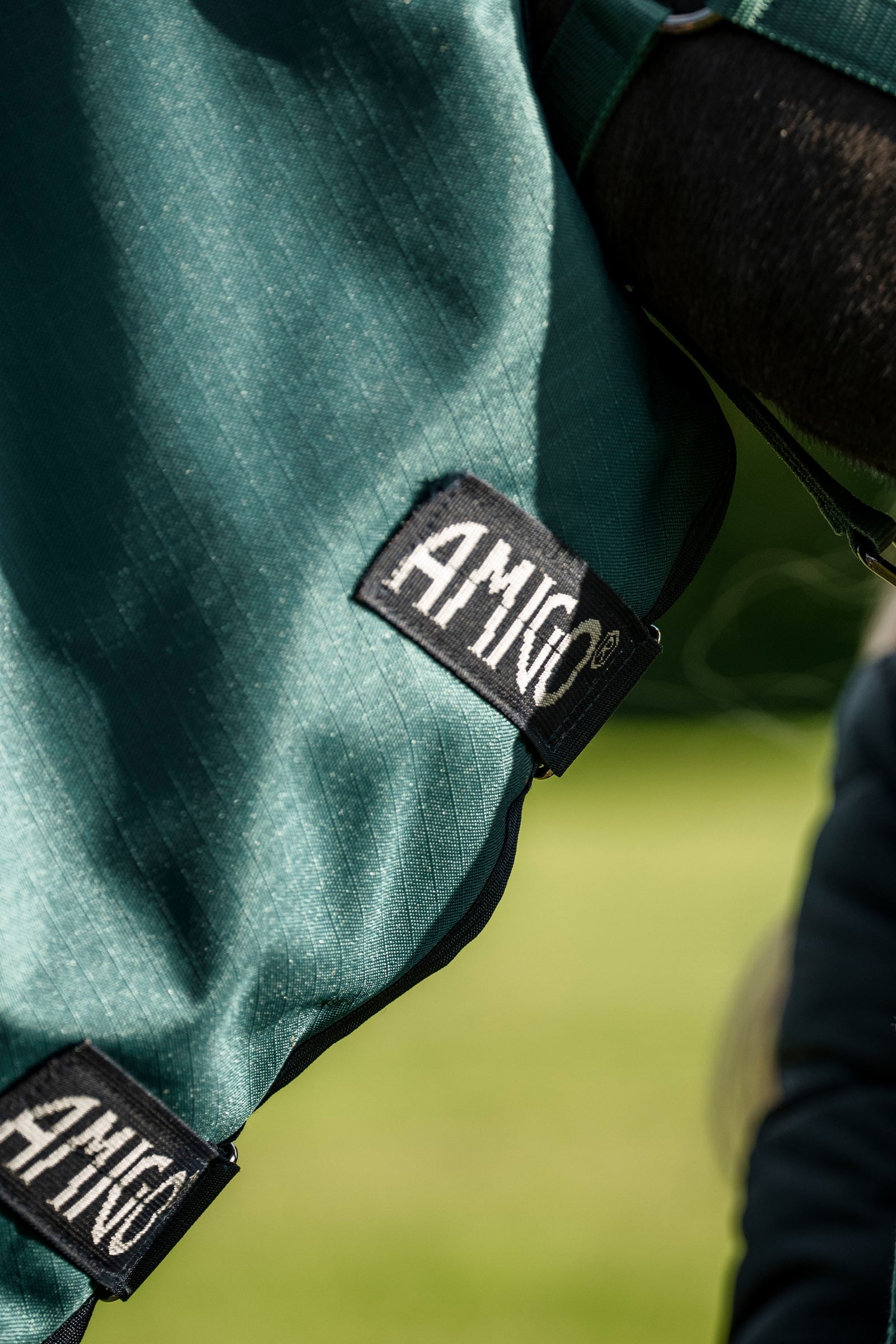 Horseware Amigo Ripstop 900D Plus Pony Turnout Rug, 50 g Horse Rugs