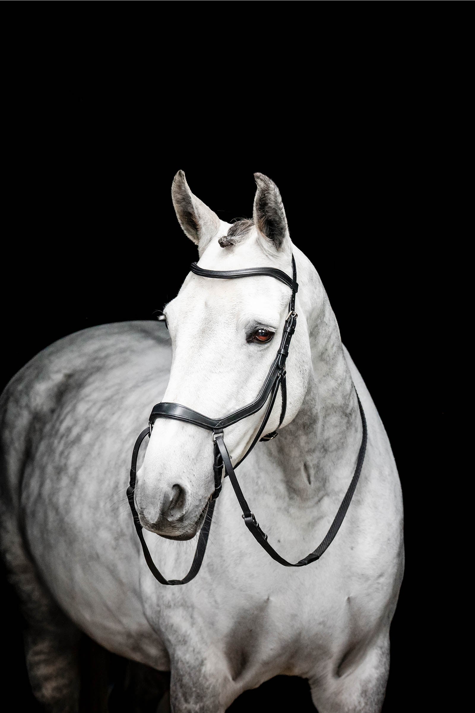 Horseware Micklem bitloos hoofdstel Hoofdstellen & Teugels