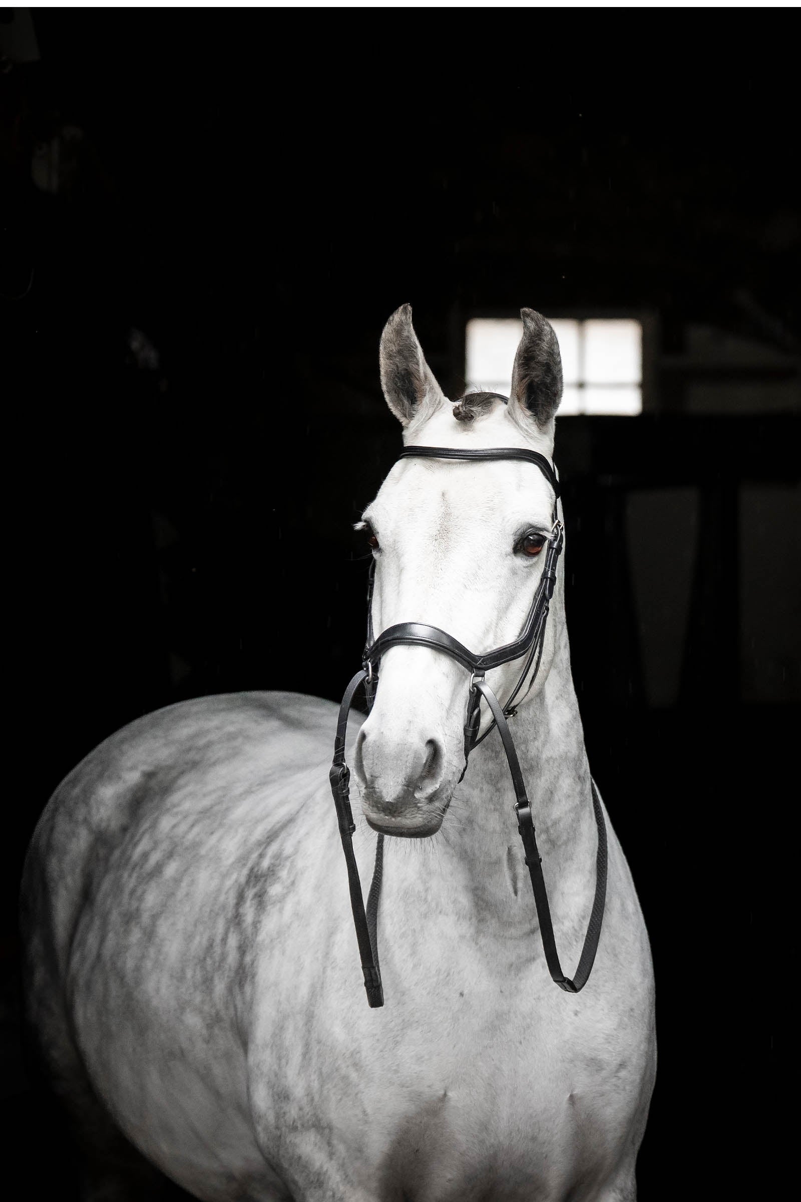 Horseware Micklem Bitless Bridle Bridles & Reins