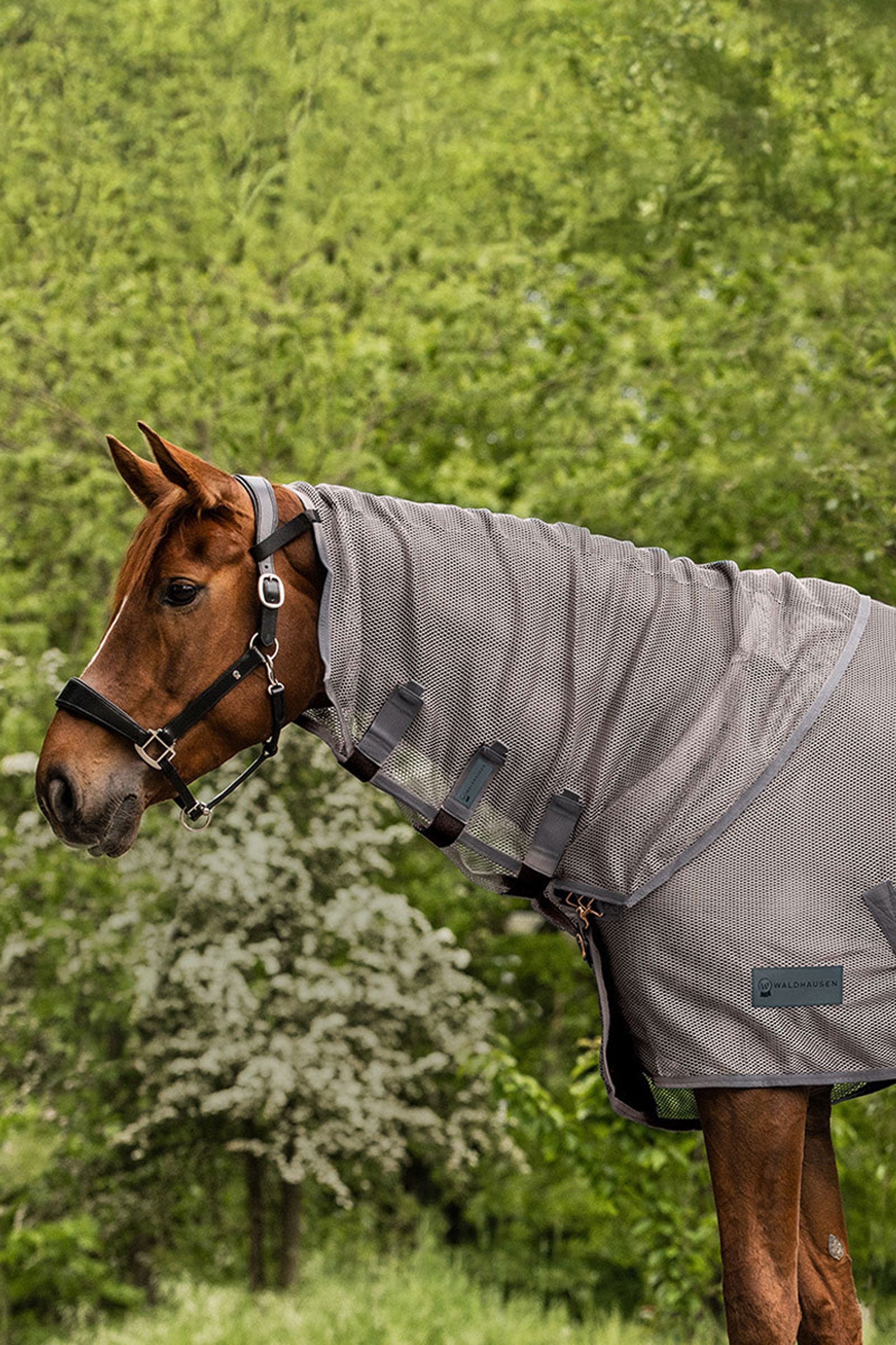 Waldhausen Comfort vliegendeken halstuk Paardendekens