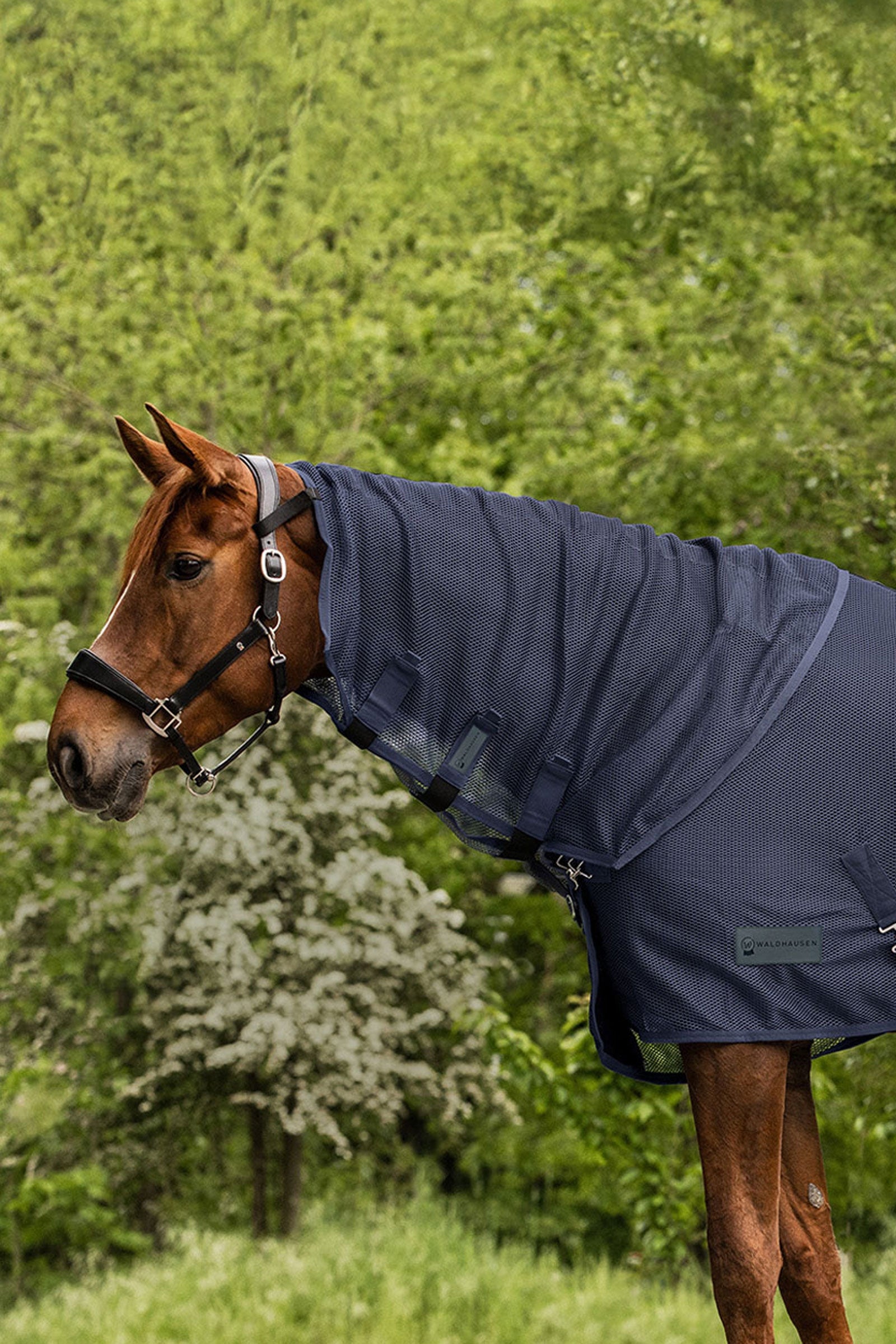 Waldhausen Comfort vliegendeken halstuk Paardendekens