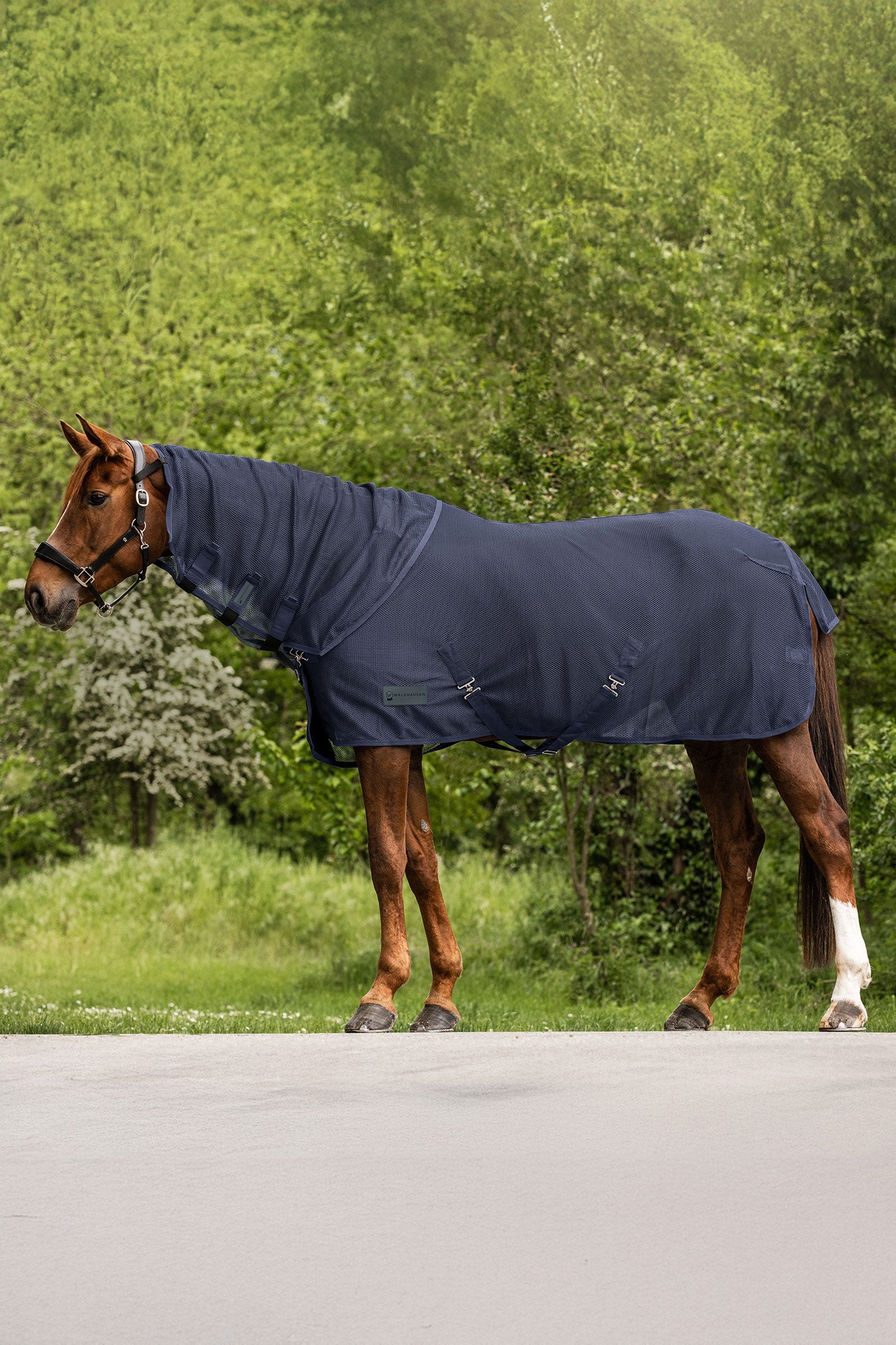 Waldhausen Comfort Fly Neck Cover Horse Rugs