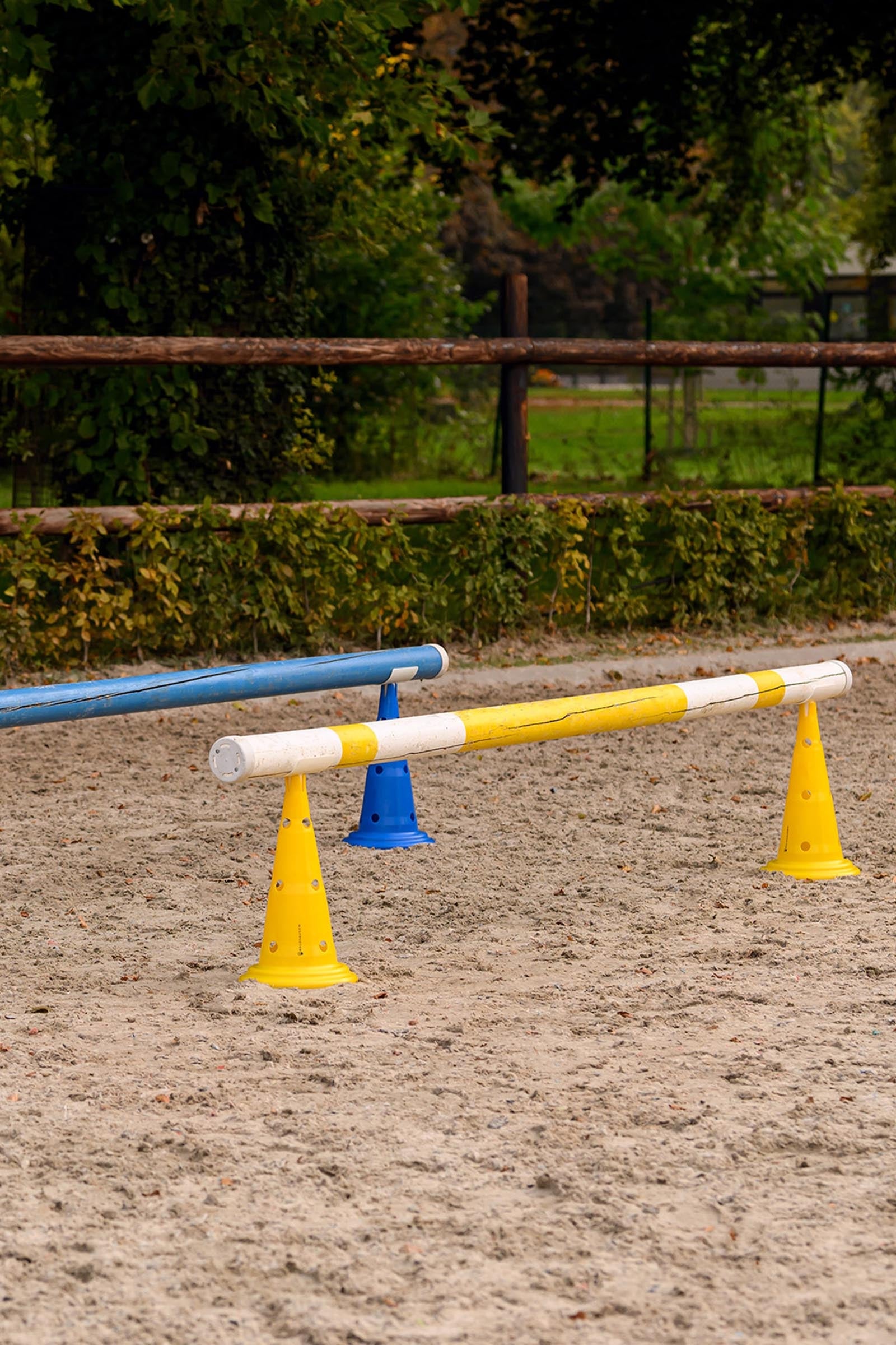 Waldhausen XL Pylons W. Carrying bag (8pcs) Horse Toys & Riding Arena Supplies