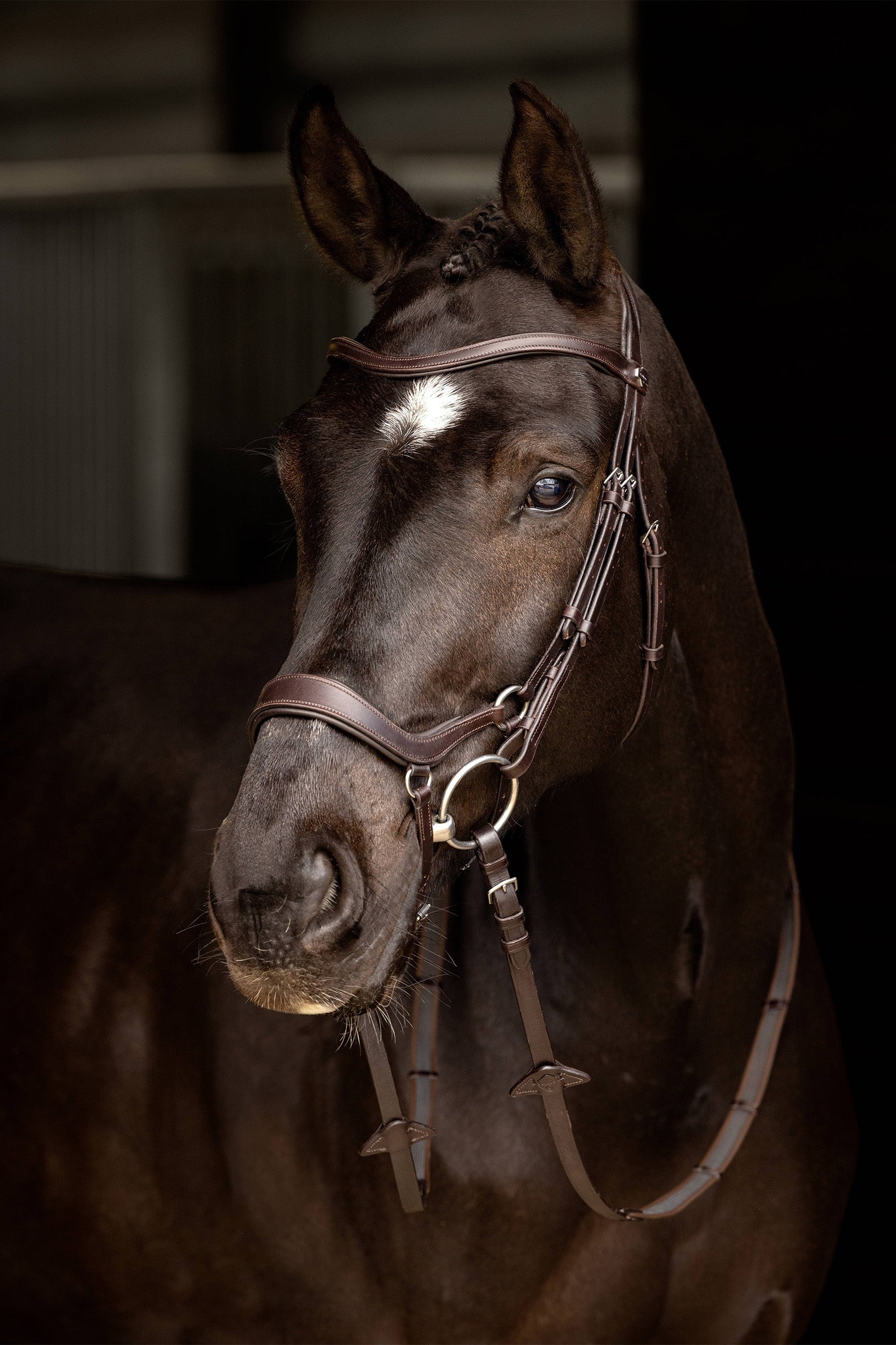 LeMieux Arika Drop Bridle Bridles & Reins