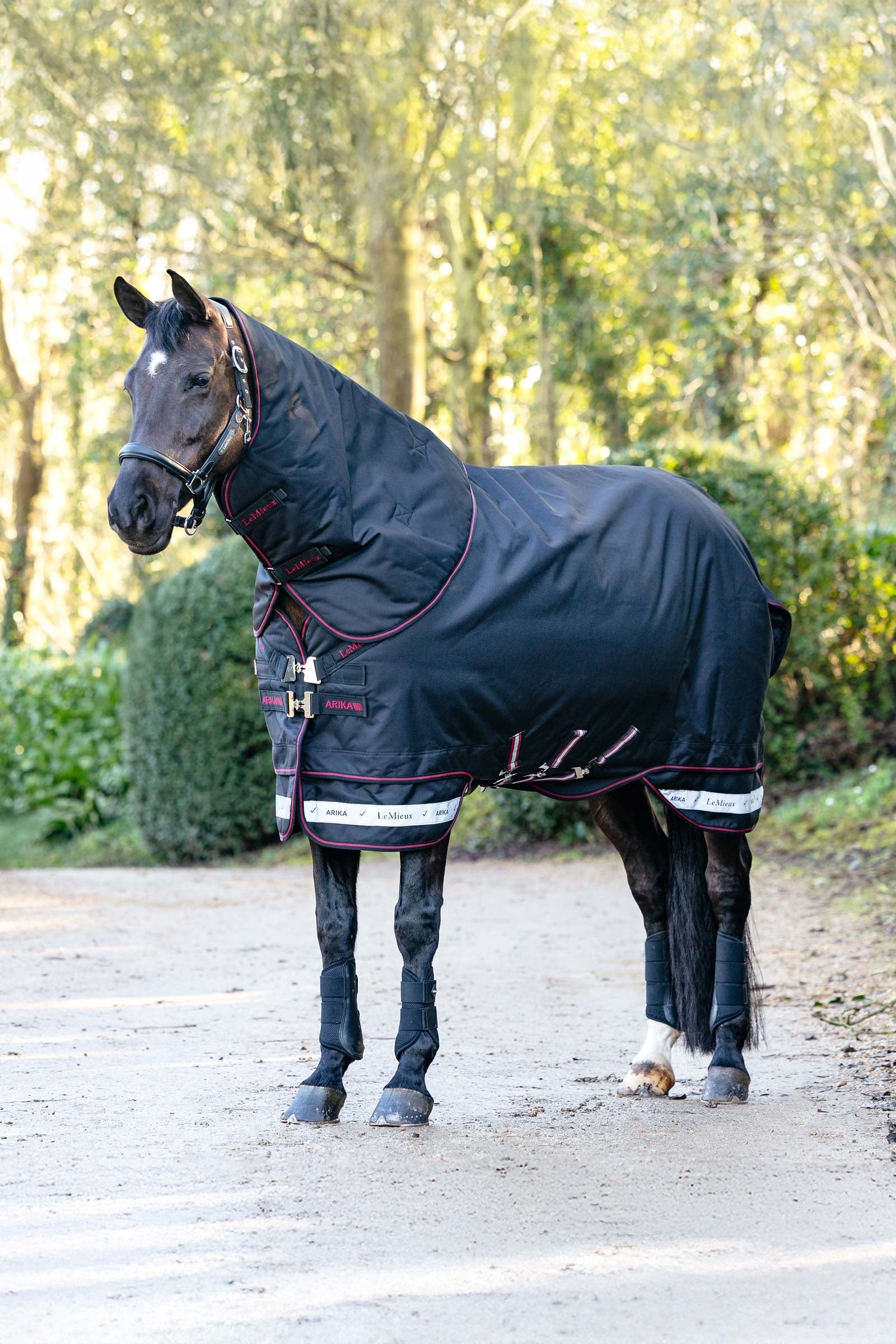 LeMieux Arika Storm-Tek regendeken met afneembaar halsdeel, 50 g Paardendekens