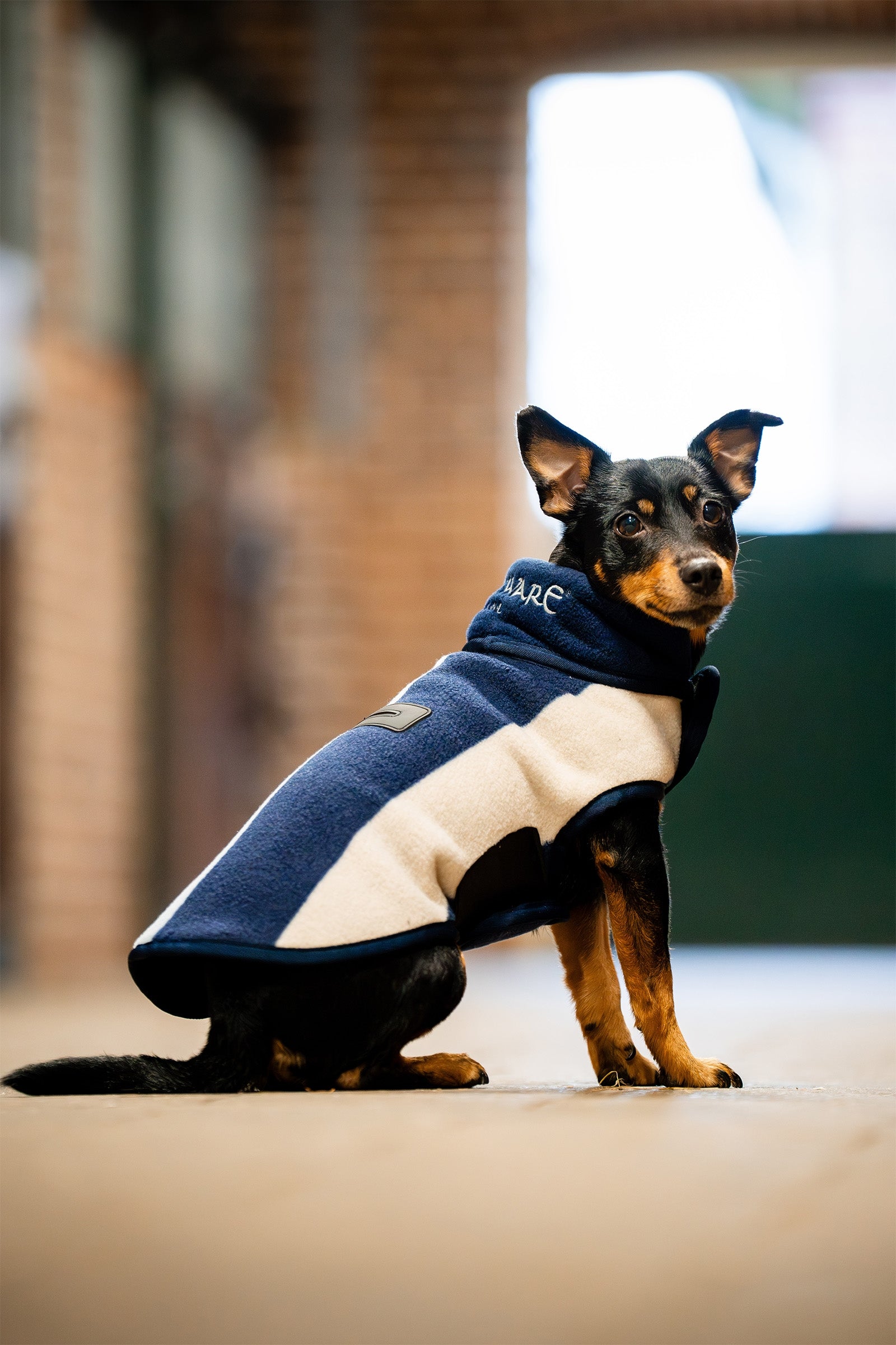Horseware Signature Dog Fleece Dog Accesories