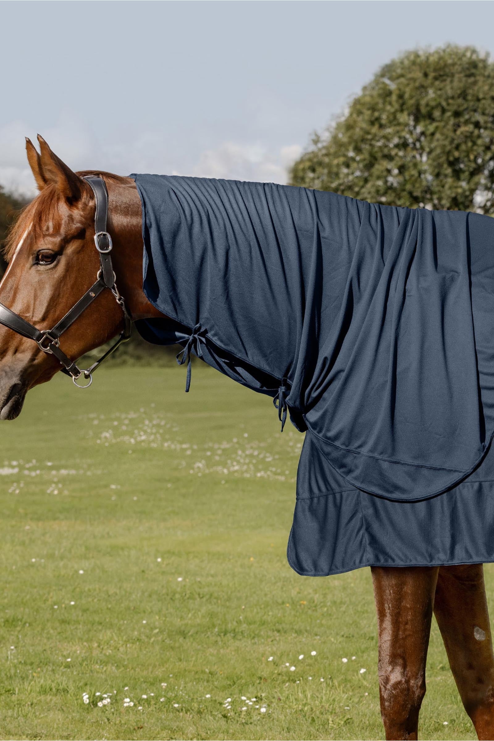 Waldhausen Health + Care Ice Layer nekdeel Paardendekens