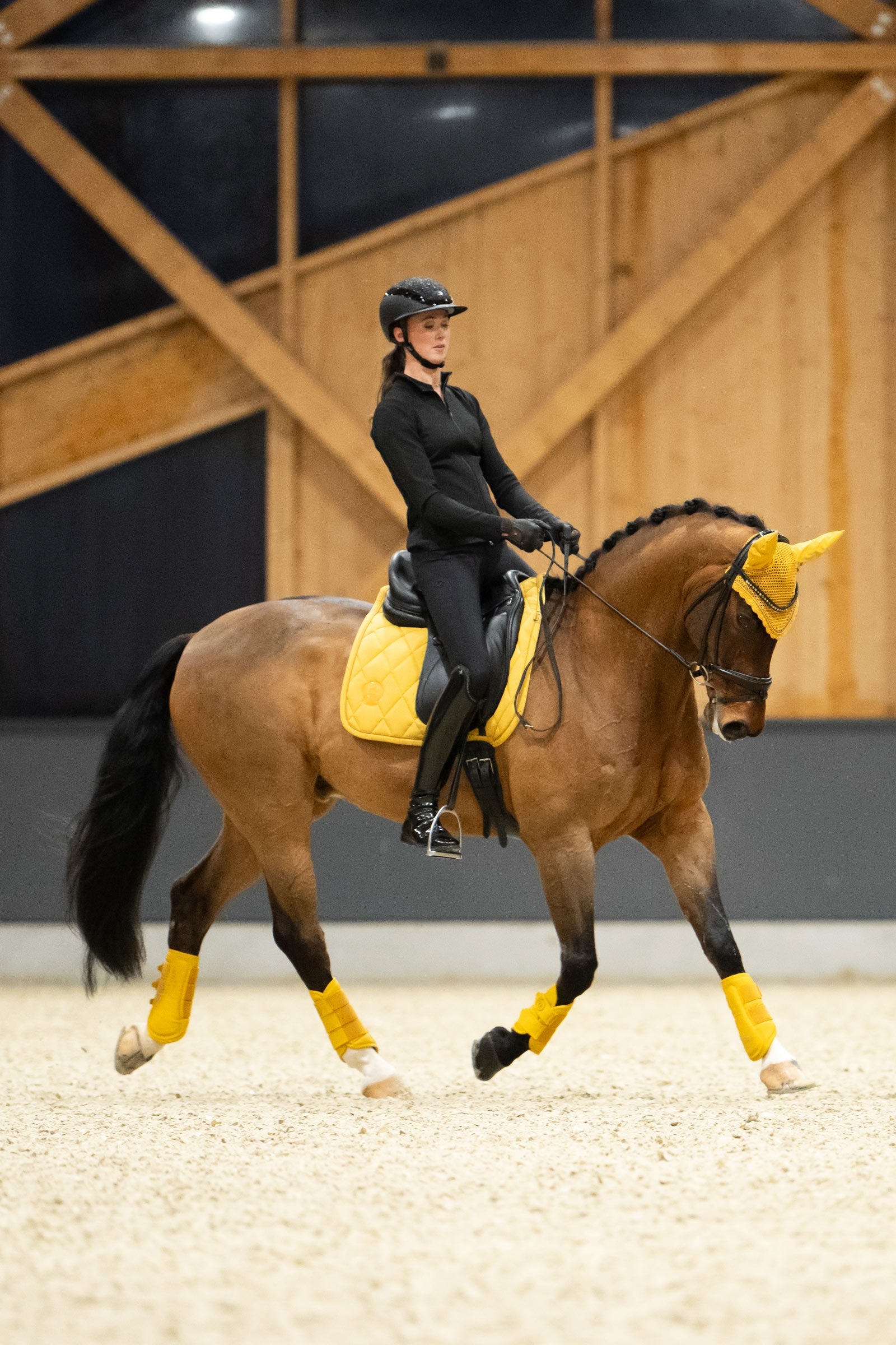 Eskadron Platinum 25 Faux Leather Tendon Boots Leg Protection & Hoof Protection for Horses