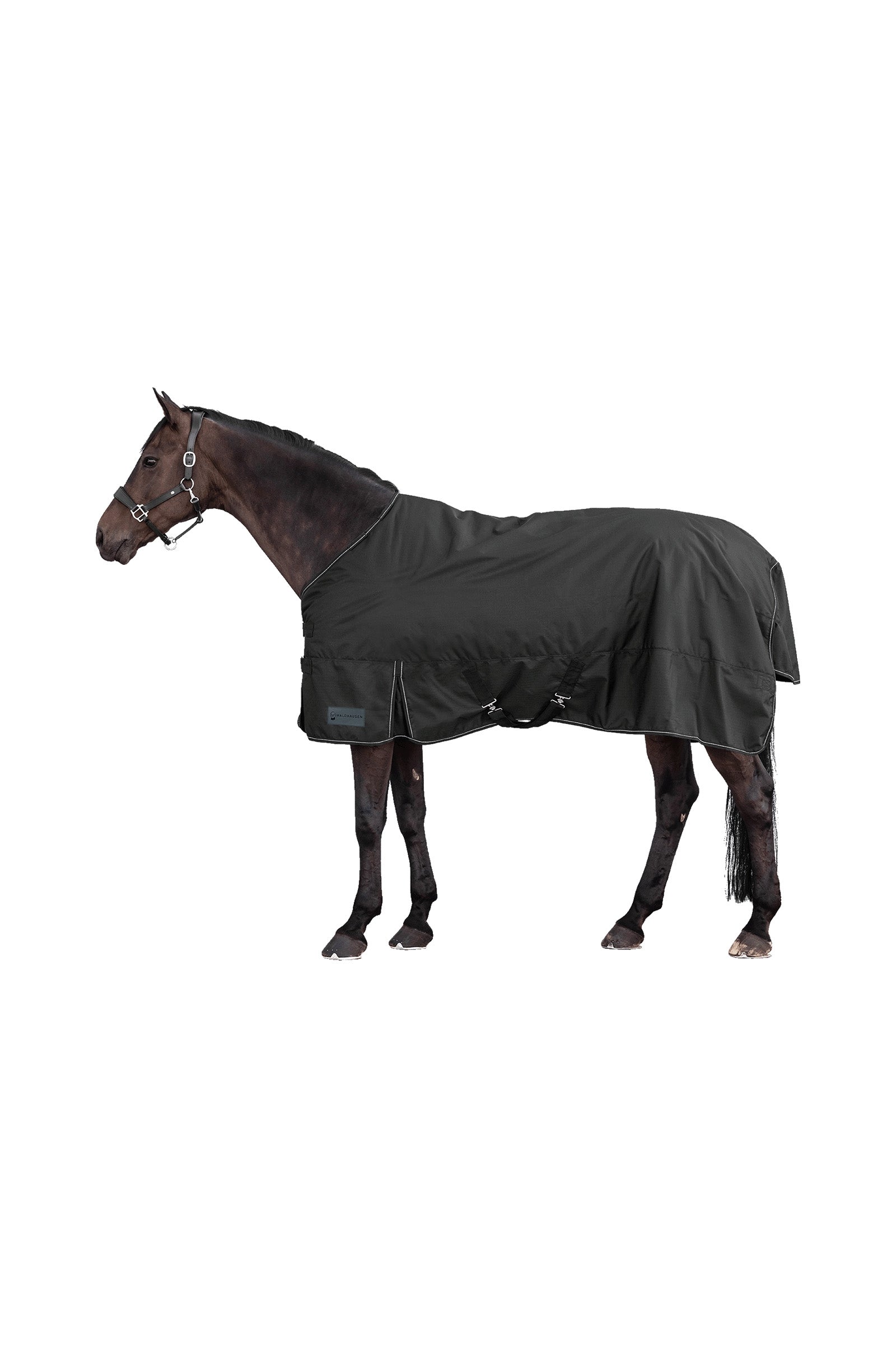 Waldhausen NORDIC 600D Outdoordeken, 100 g Paardendekens