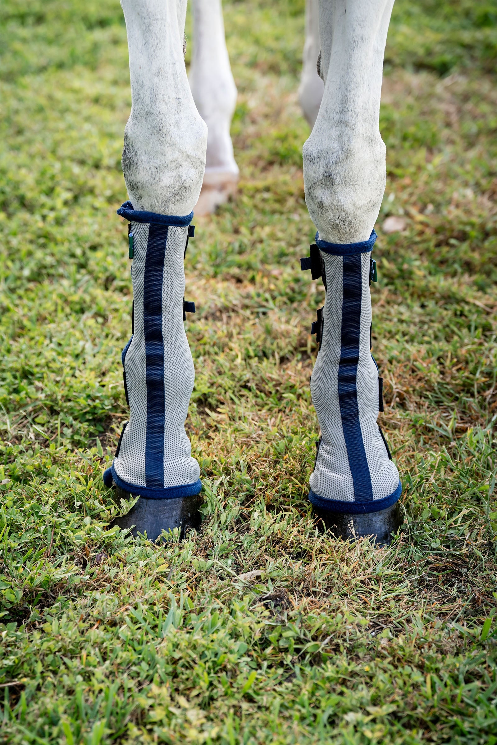Horseware Fly Boots - set of 2 Antifly Protection for Horses