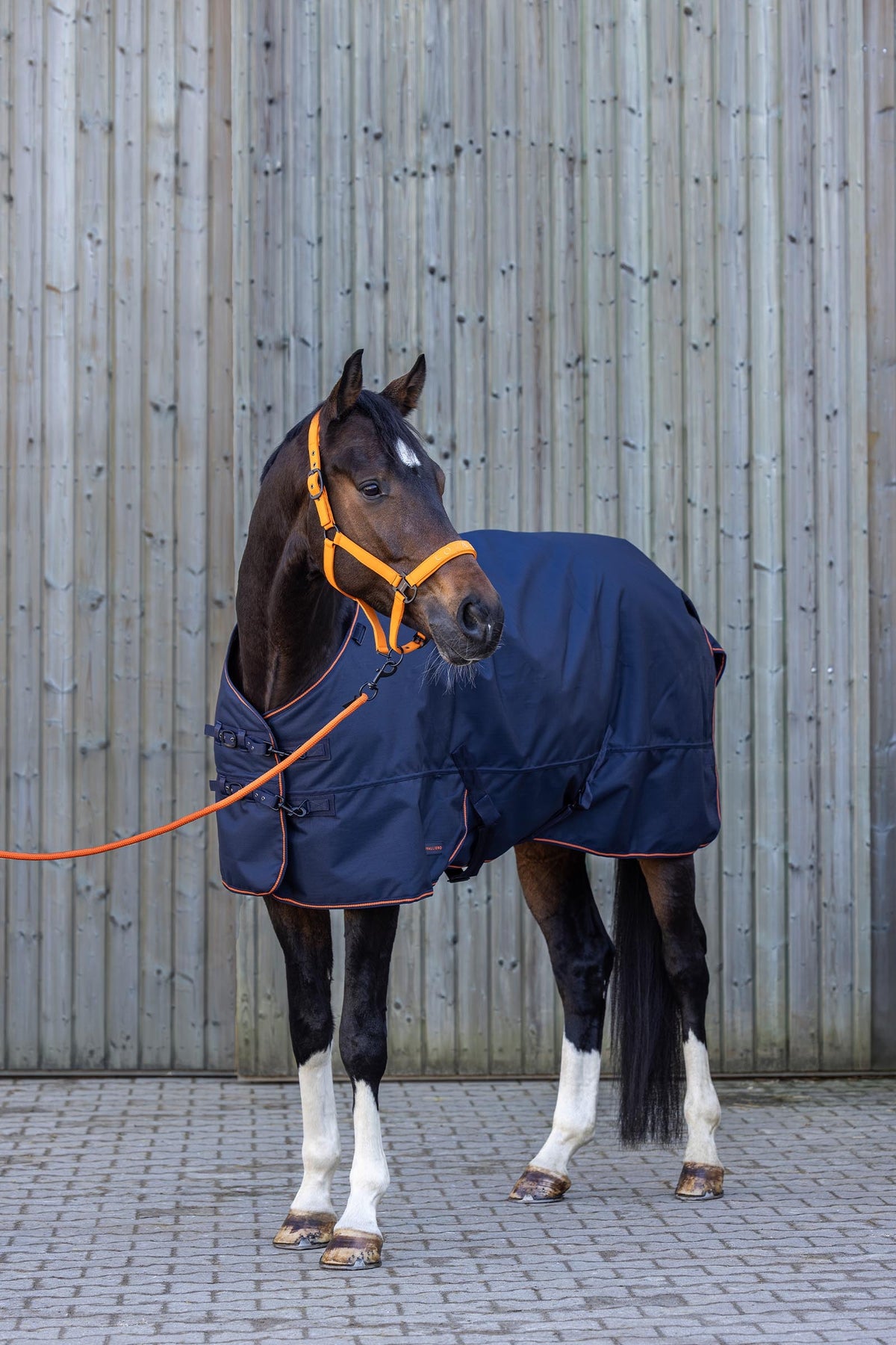 Covalliero FW26 Outdoor Horse Rug 100g Horse Rugs