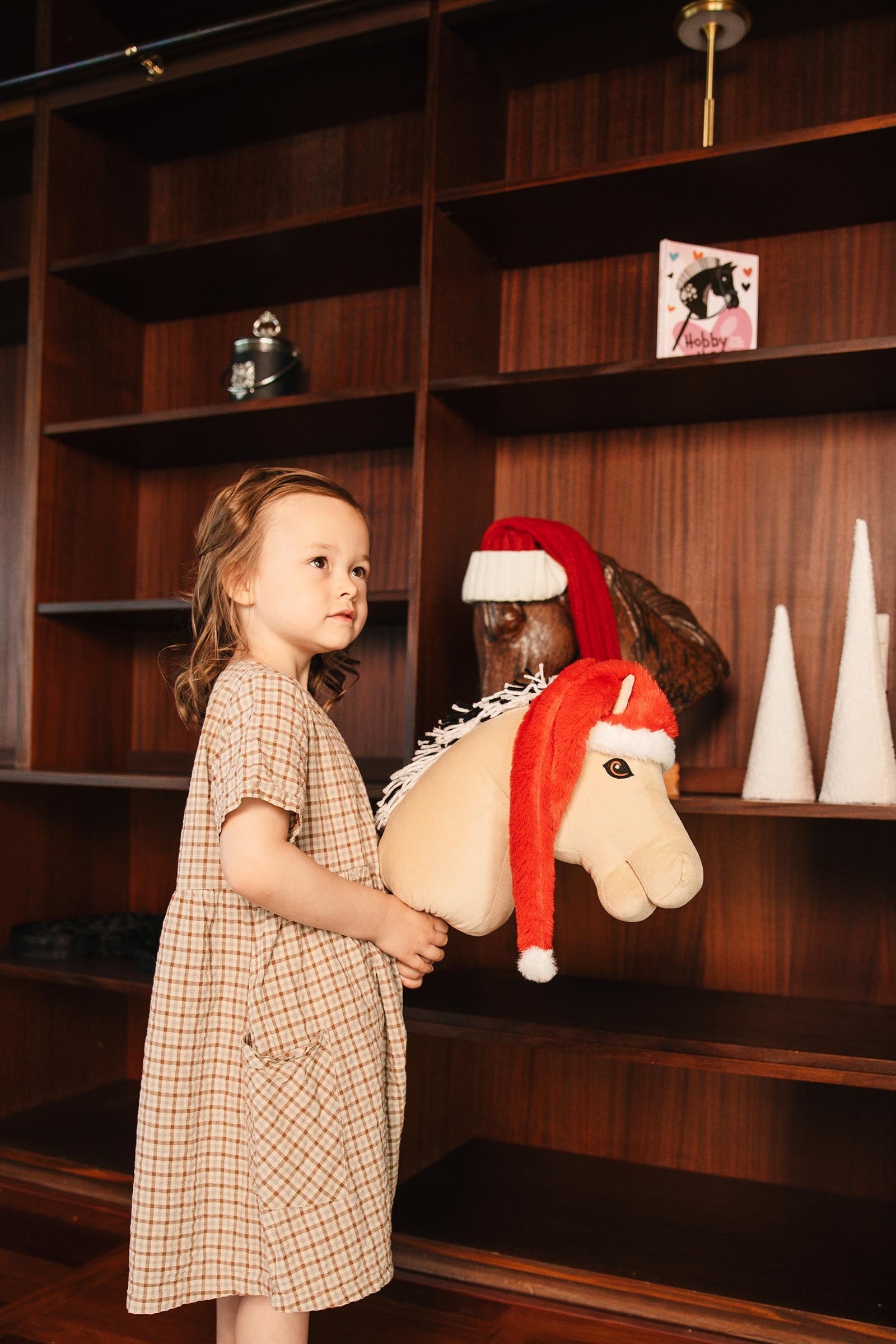 My Hobby Horse Santa Hat Gifts & Toys