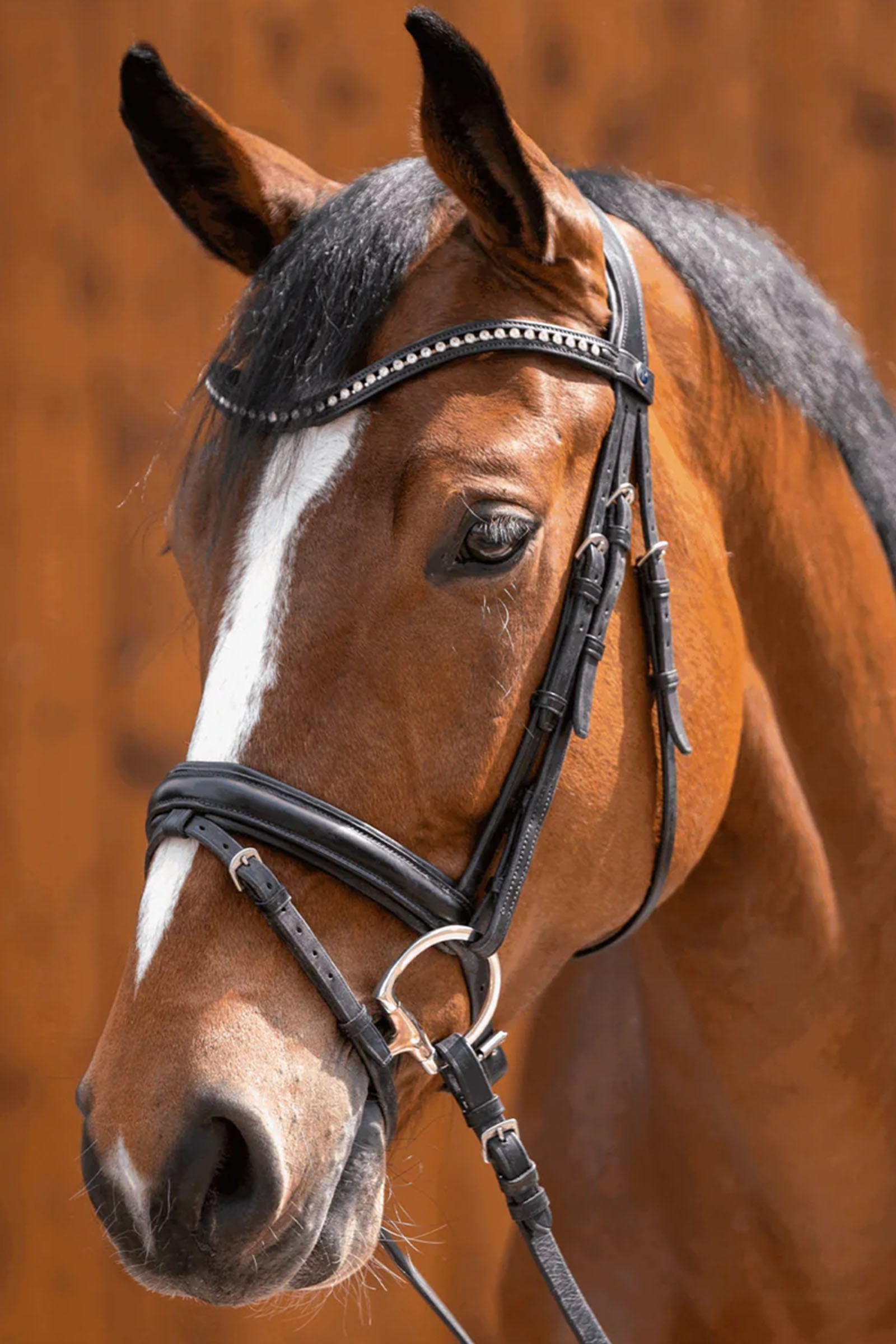 Sprenger Novocontact Olivehead Bit, Double Jointed Horse Bits