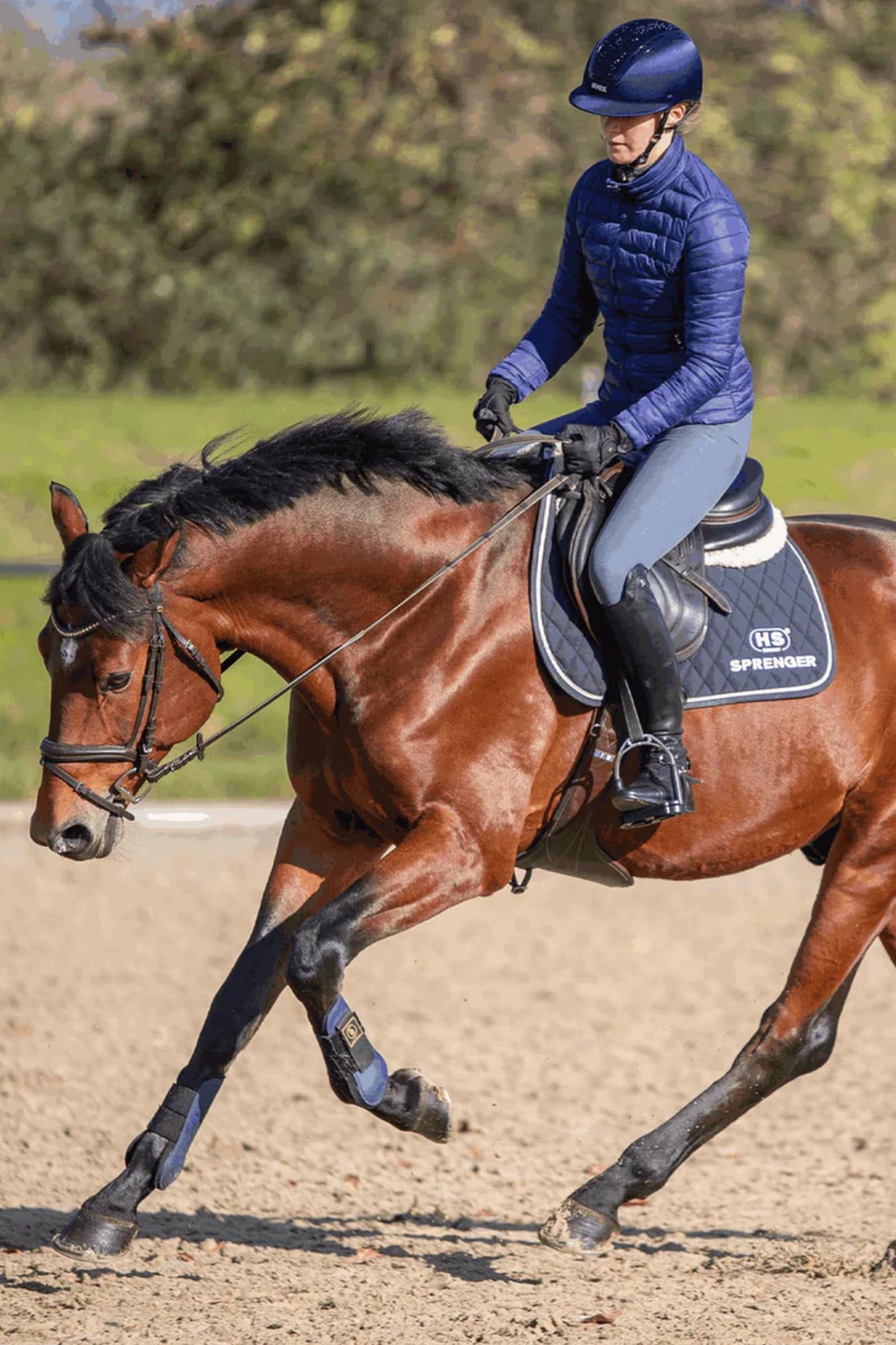 Sprenger Novocontact Eggbutt Bit D-Rings, Double Jt. 14mm, Sensogan Horse Bits