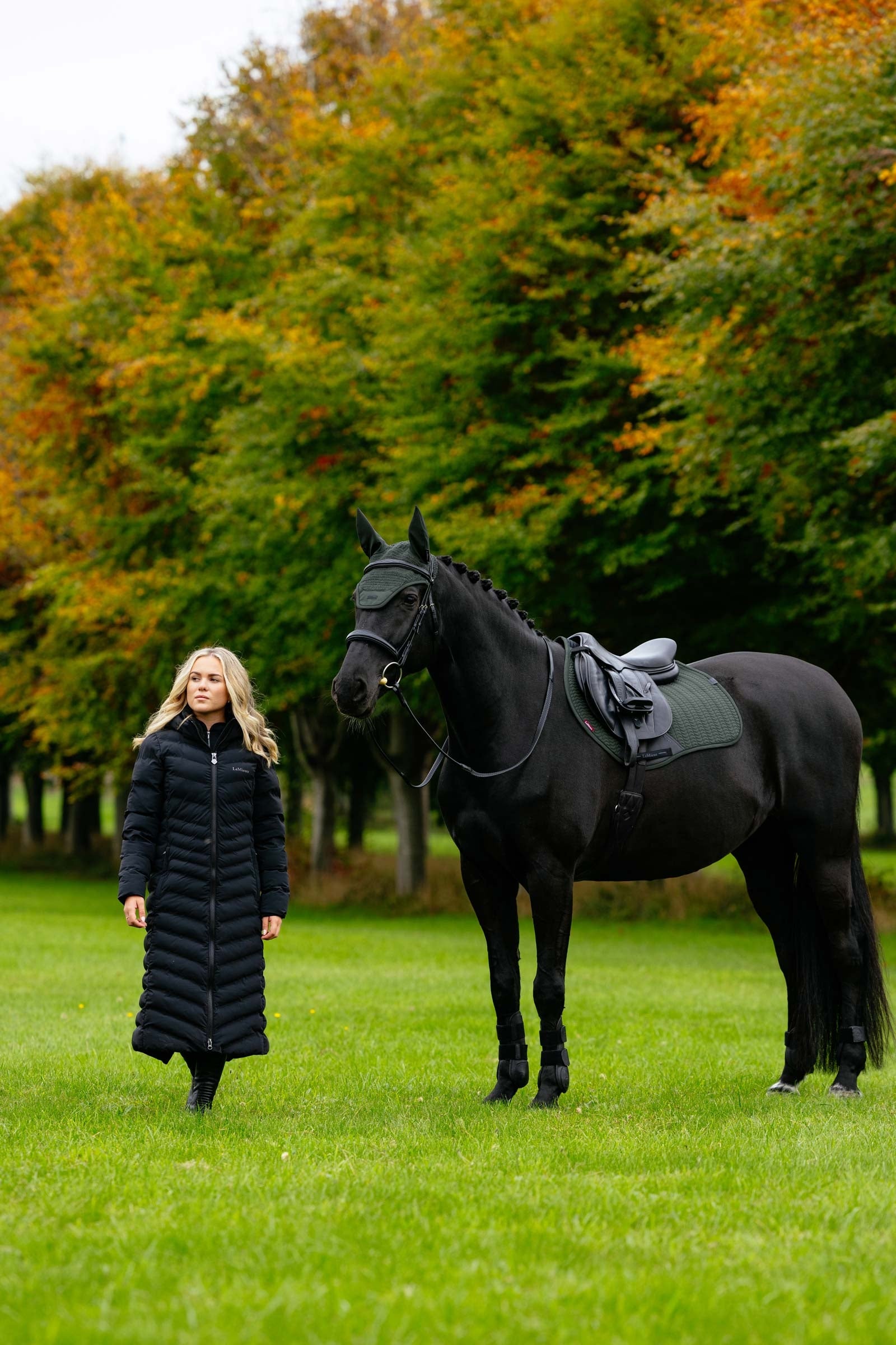 LeMieux Essence Eurojump Jumping Saddle Pad Saddle Pads