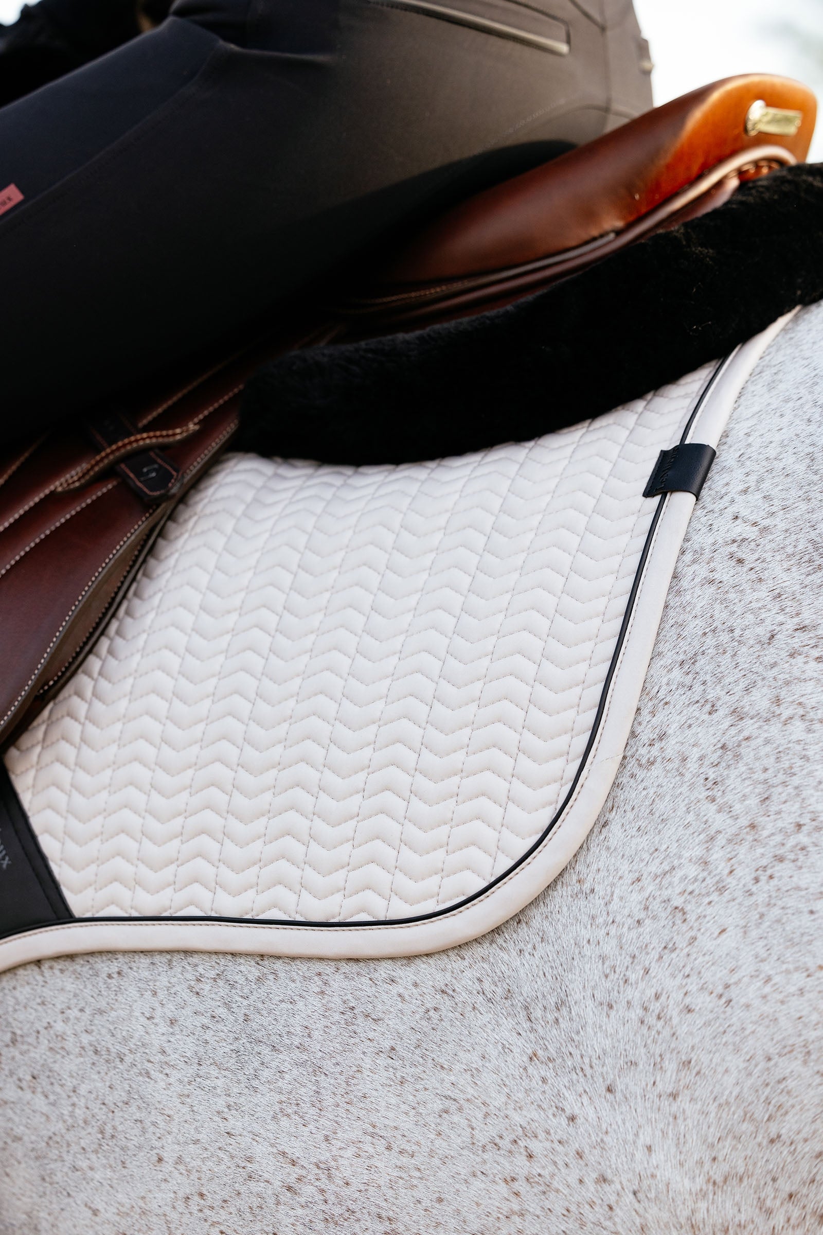 LeMieux Essence Eurojump Jumping Saddle Pad Saddle Pads