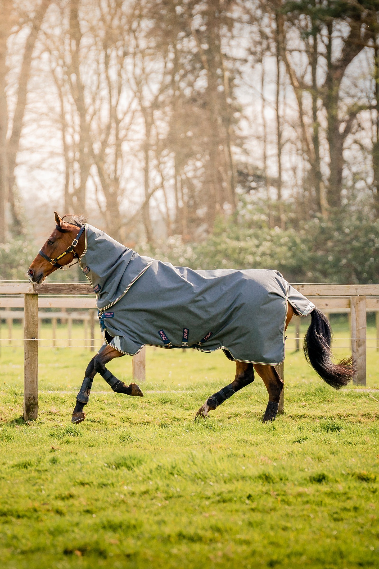 Horseware Amigo Bravo 12 Plus Turnout Rug With Detachable Neck, 0g Horse Rugs