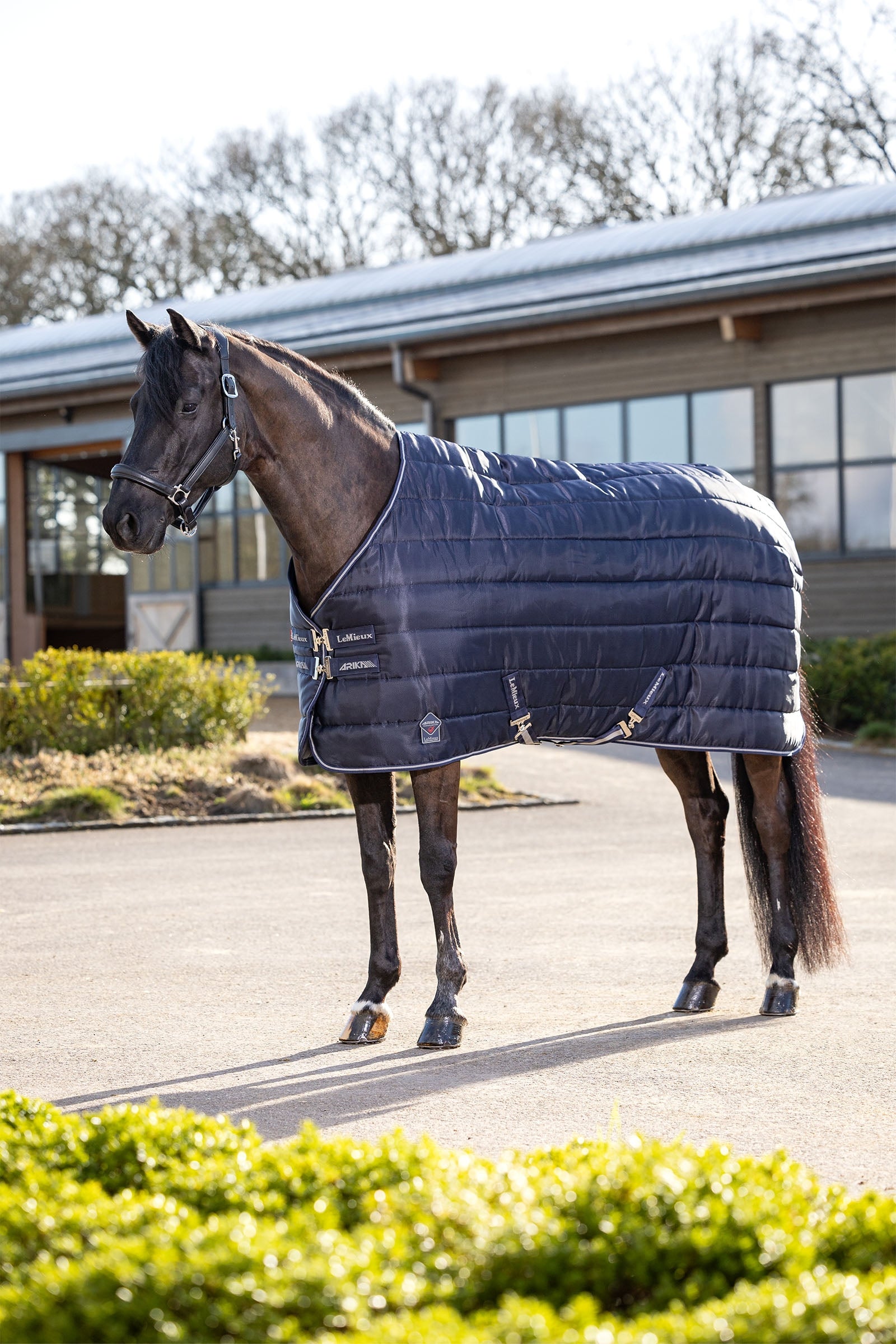 LeMieux Arika Stable-Tek 100g Paardendekens