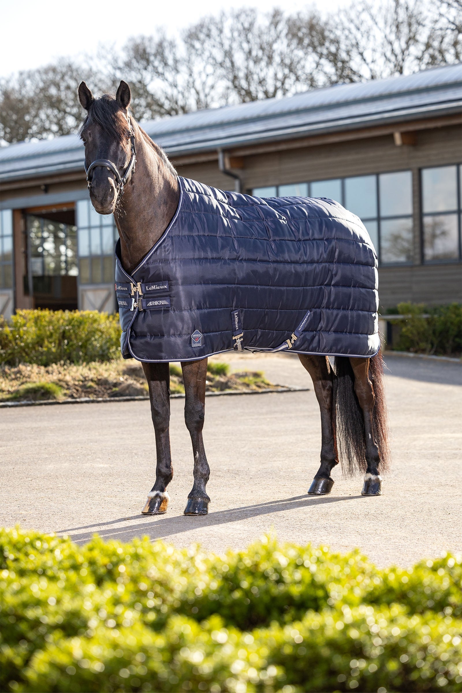 LeMieux Arika Stable-Tek Stable Rug, 100 g Horse Rugs
