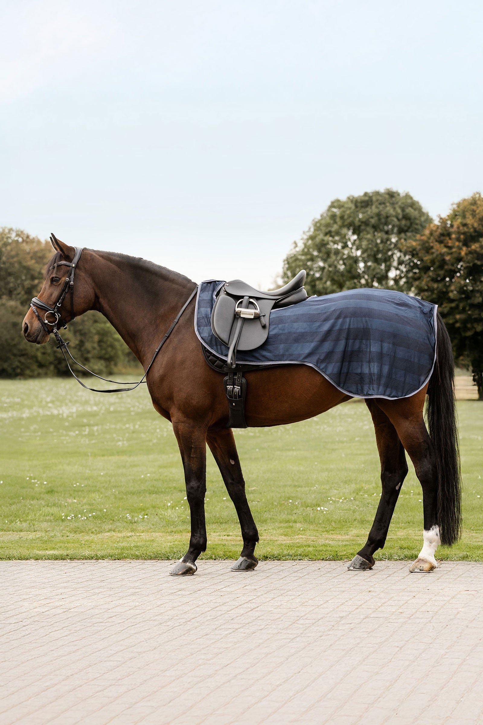 Waldhausen Economic vliegendeken voor het rijden Paardendekens