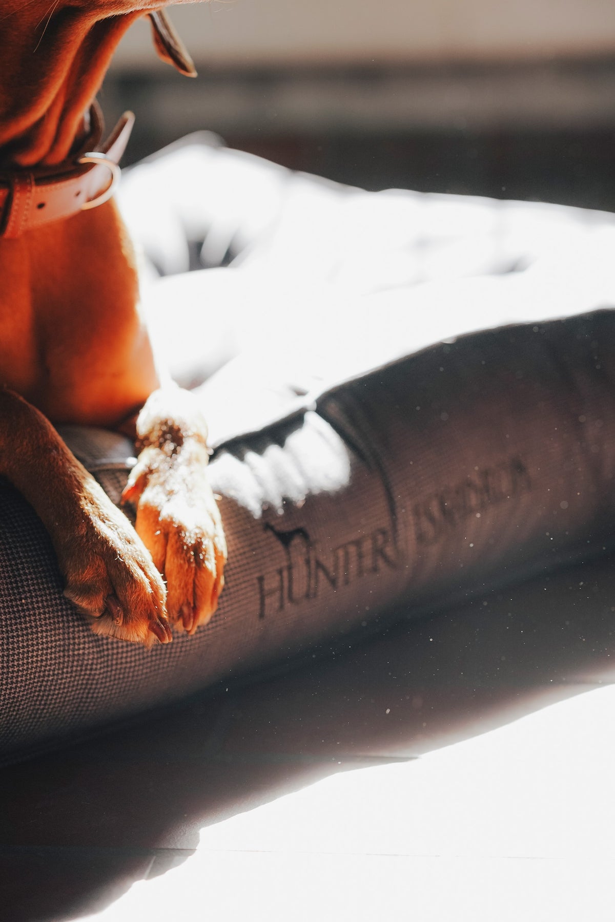 Eskadron Hunter x ESKADRON CHESTER Dog Bed Dog Accesories