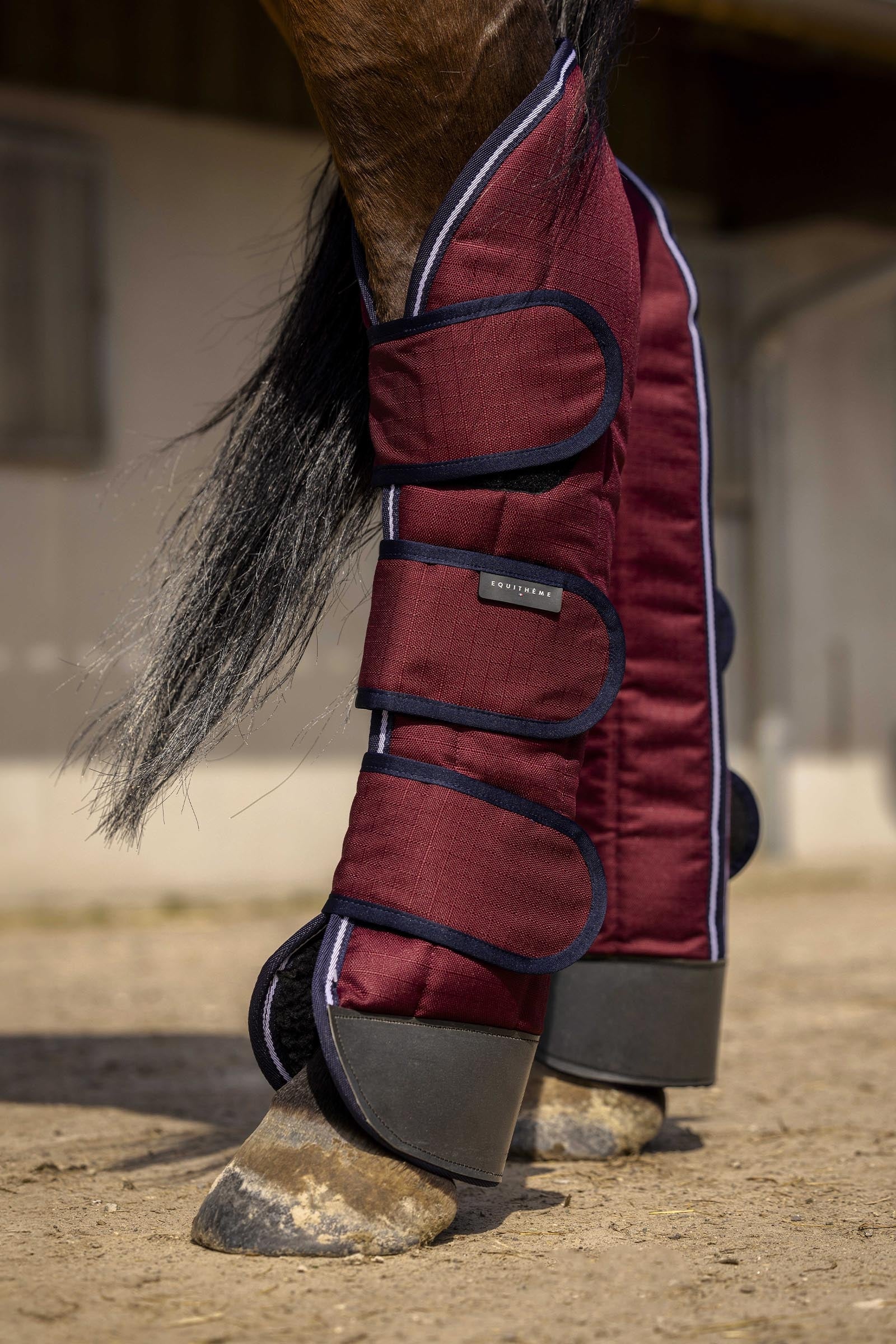 Equi Theme EQUITHÈME TYREX 1200D verstevigde transportbeschermers Leg & Hoof Protection