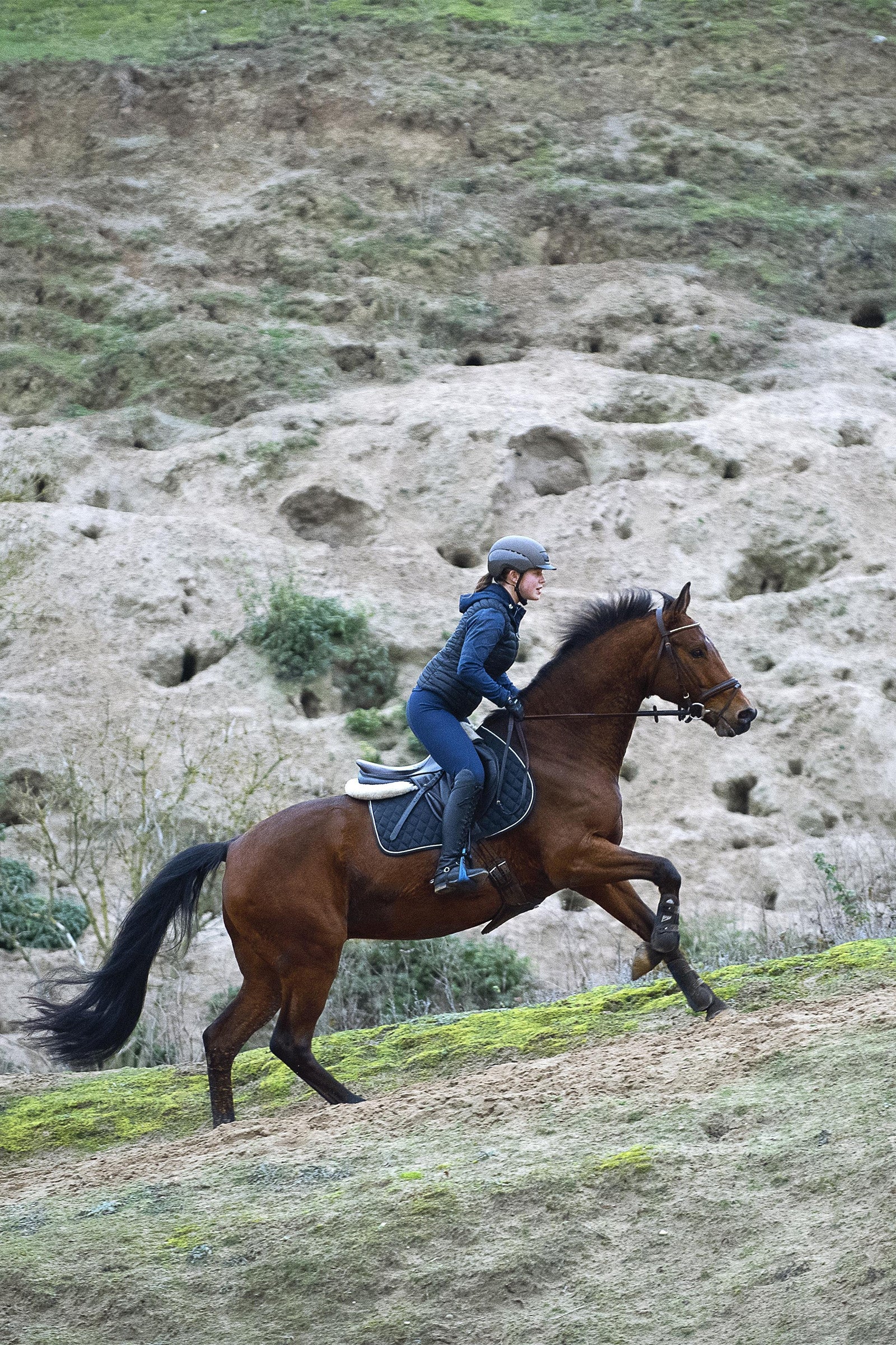 Uvex elexxion tocsen Riding Helmet Safety Equipment