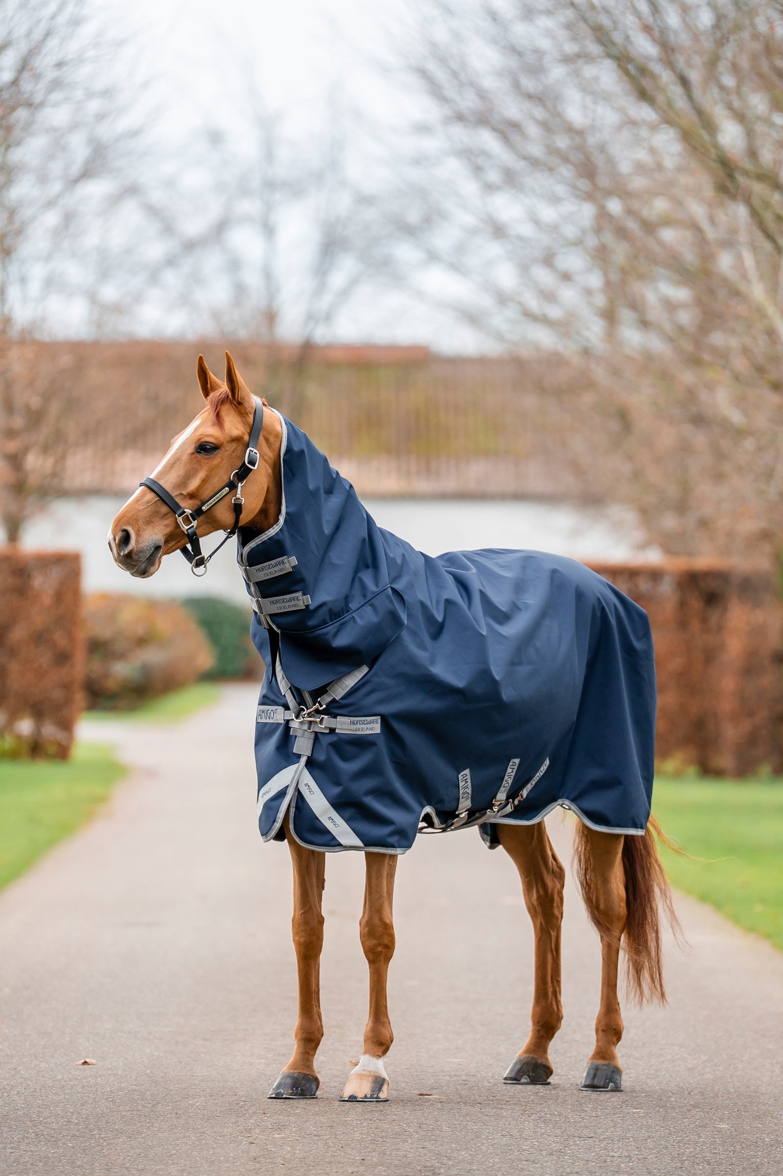 Horseware Amigo 1200D geïntegreerde regendeken 250 g Paardendekens