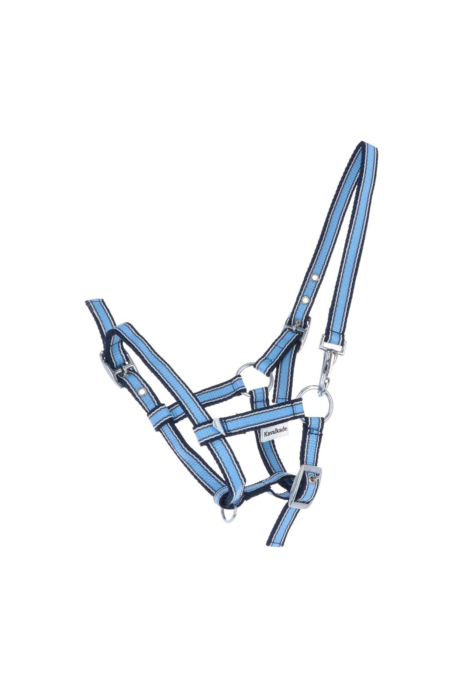 Kavalkade Foal & Yearling Halter Halsters & Halstertouwen