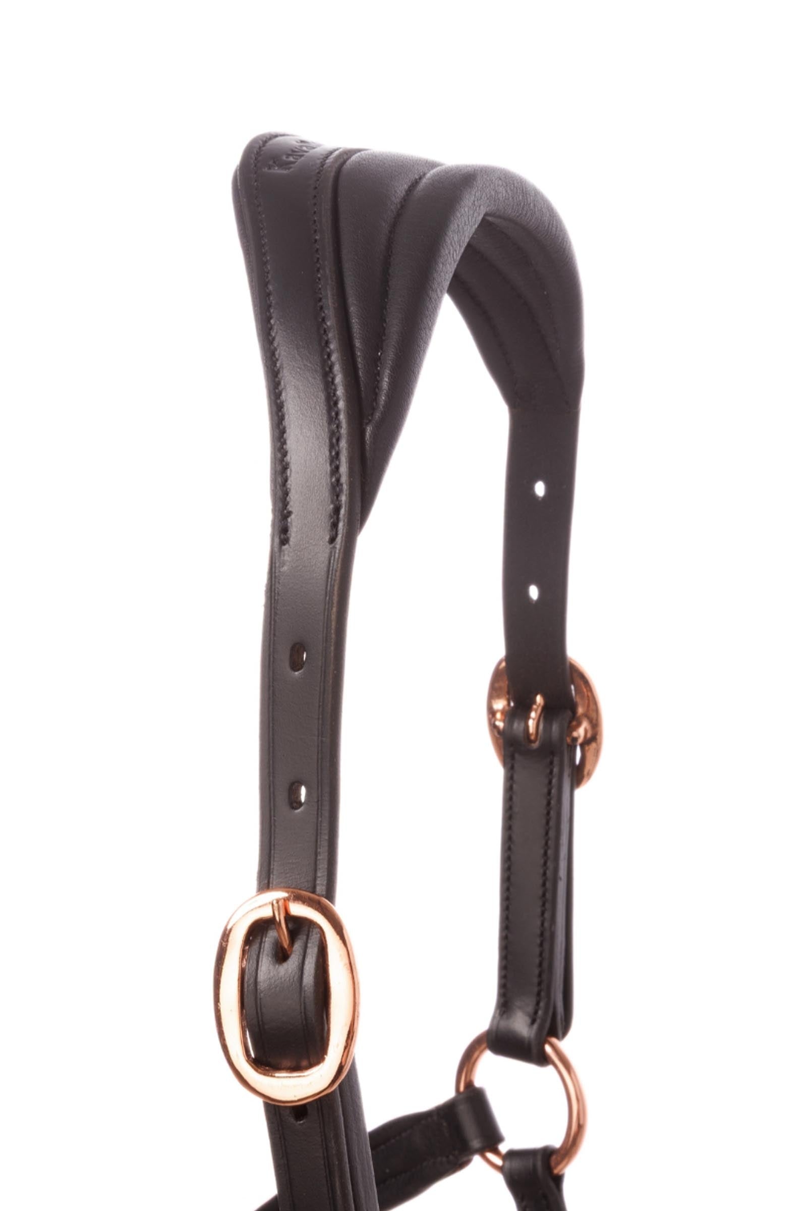 Kavalkade Freydis Icelandic Halter Halters & Leads