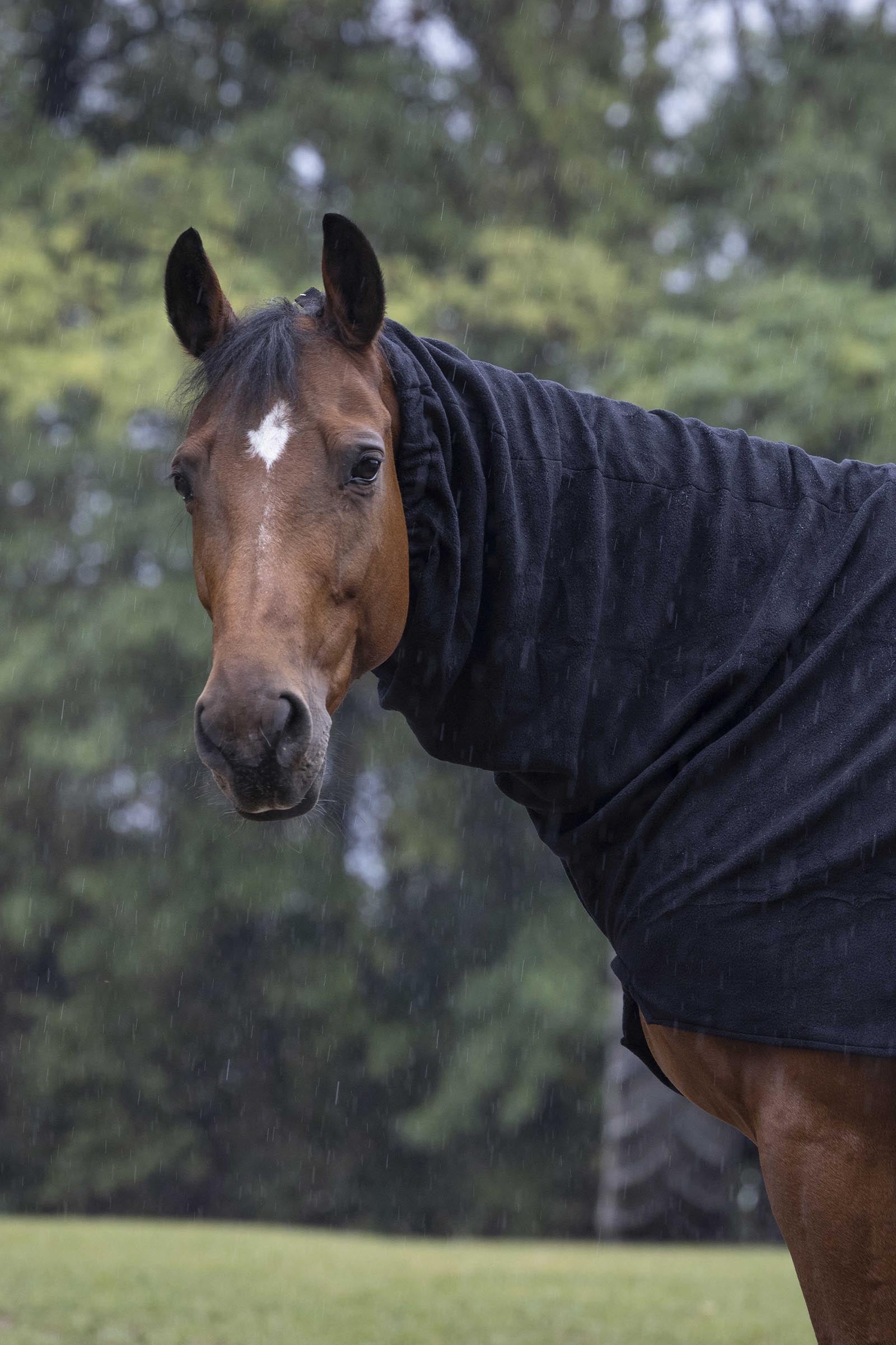 EQUITHÈME Polar Fleece halsstuk Paardendekens