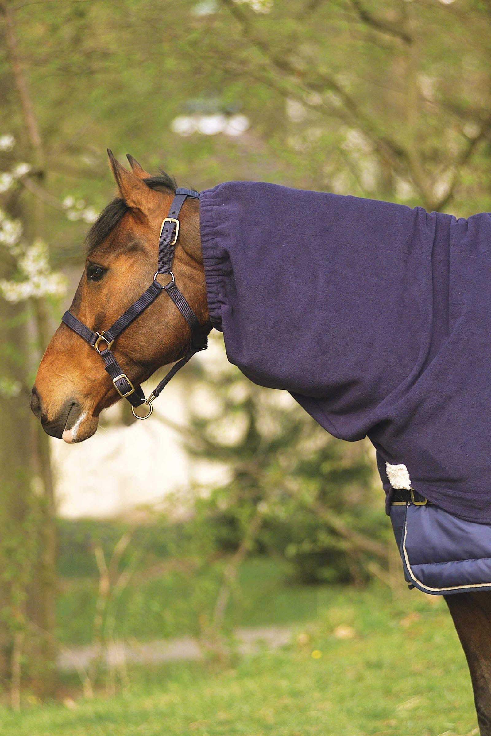 EQUITHÈME Polar Fleece halsstuk Paardendekens