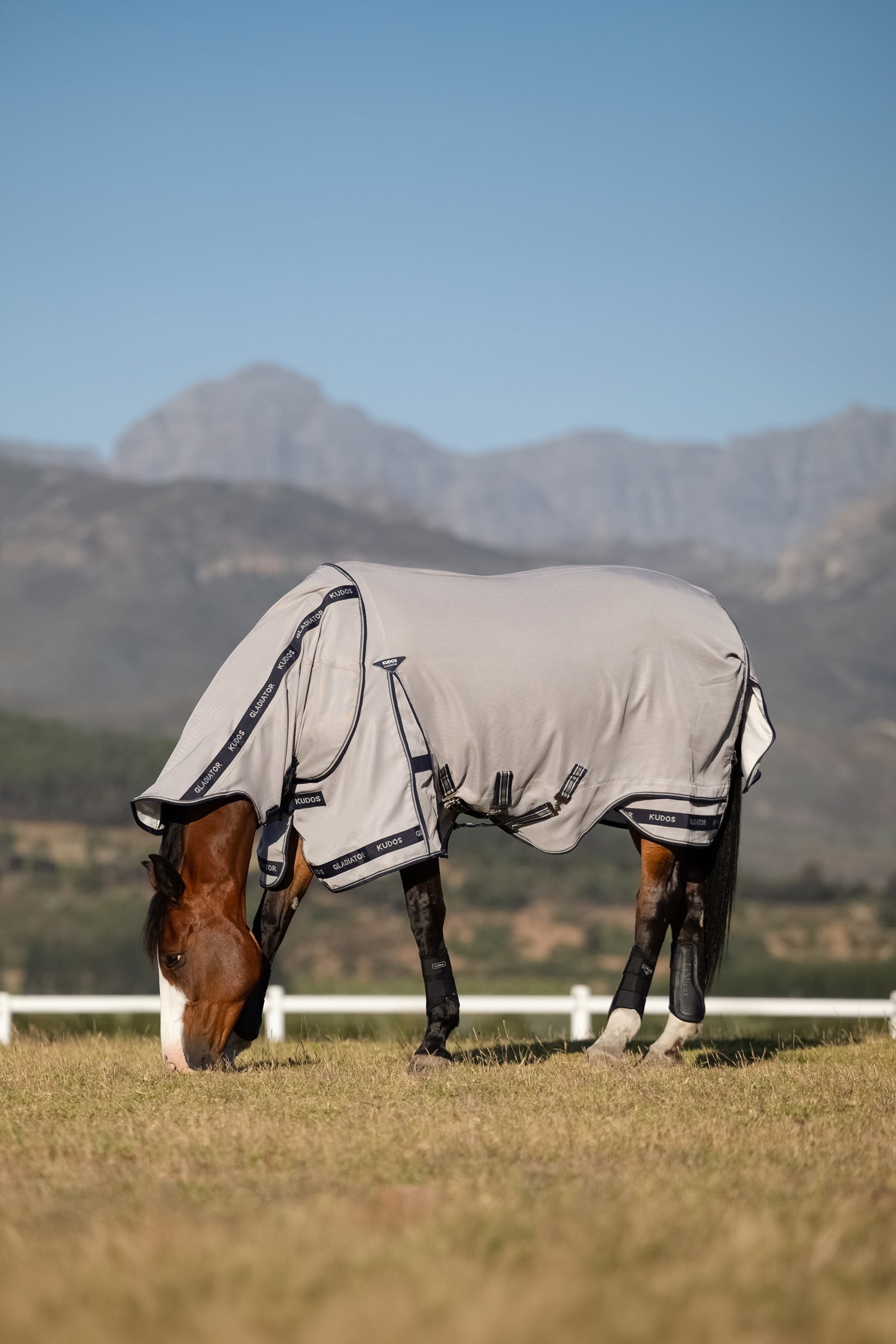 LeMieux Kudos Gladiator vliegendeken Paardendekens