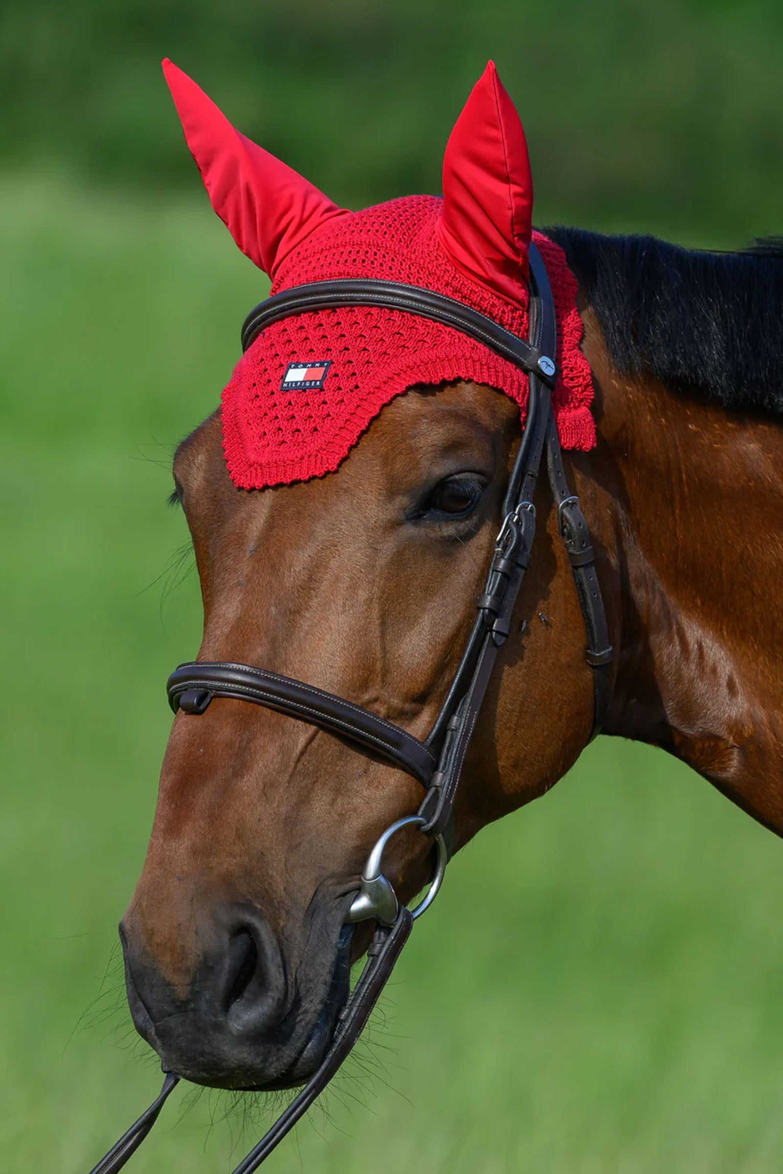 Tommy Hilfiger Equestrian Lexington Fly Hood Saddle Pads