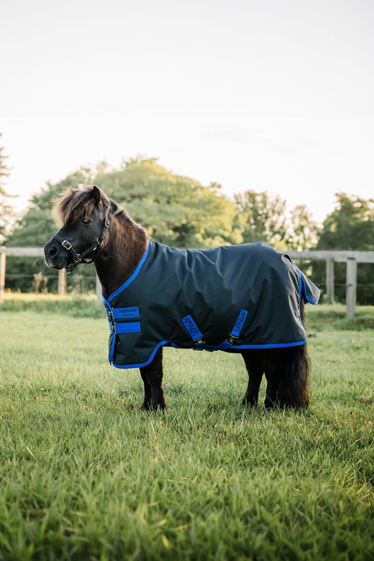 Horseware Amigo Ripstop 900D Petite Turnout, 0 g Horse Rugs