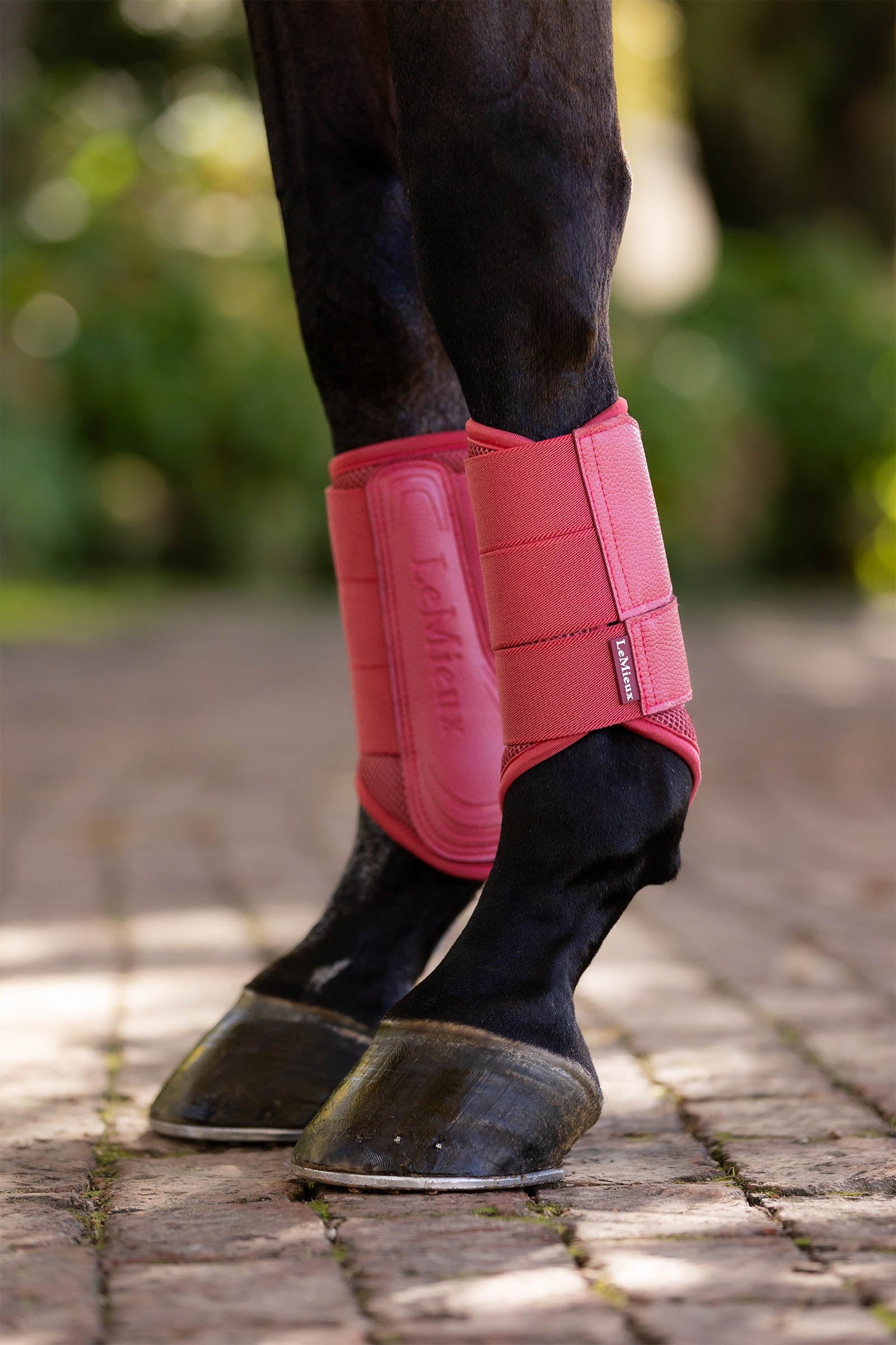 LeMieux Arika Mesh Brushing Boots Leg Protection & Hoof Protection for Horses