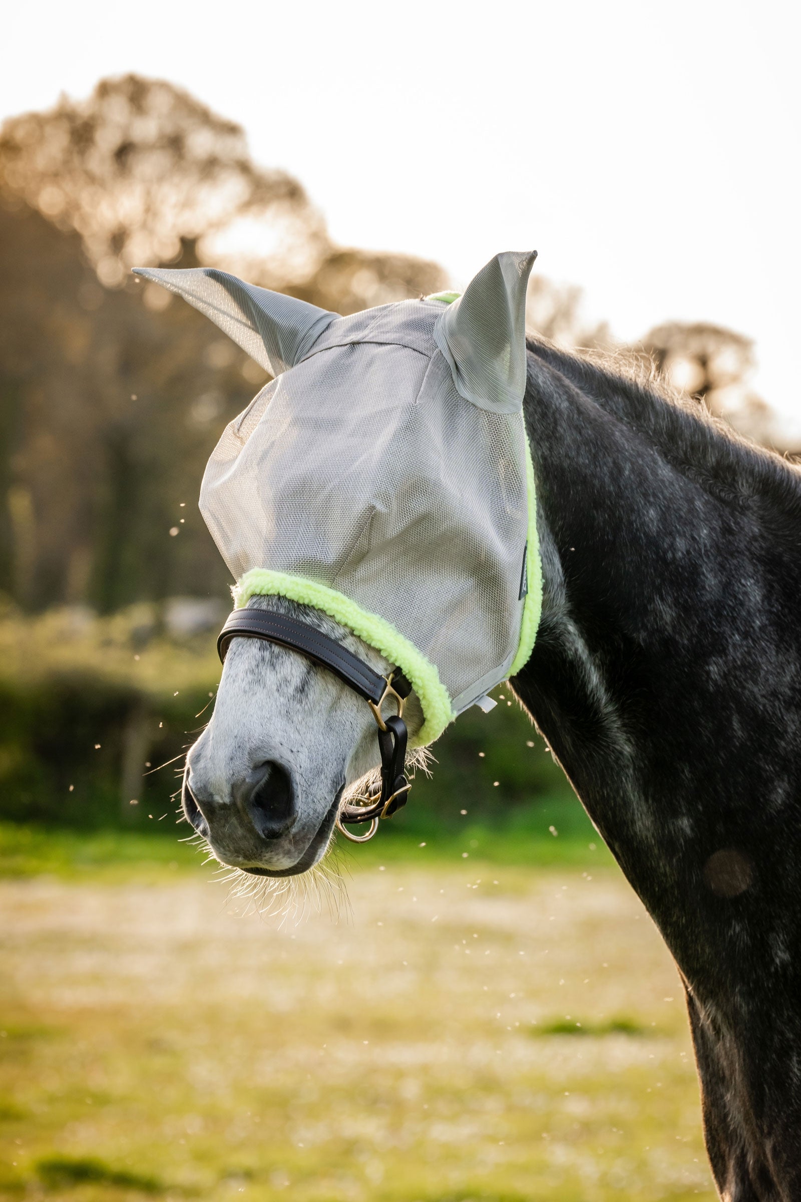 Horseware Amigo Vliegenmasker Vliegenbescherming