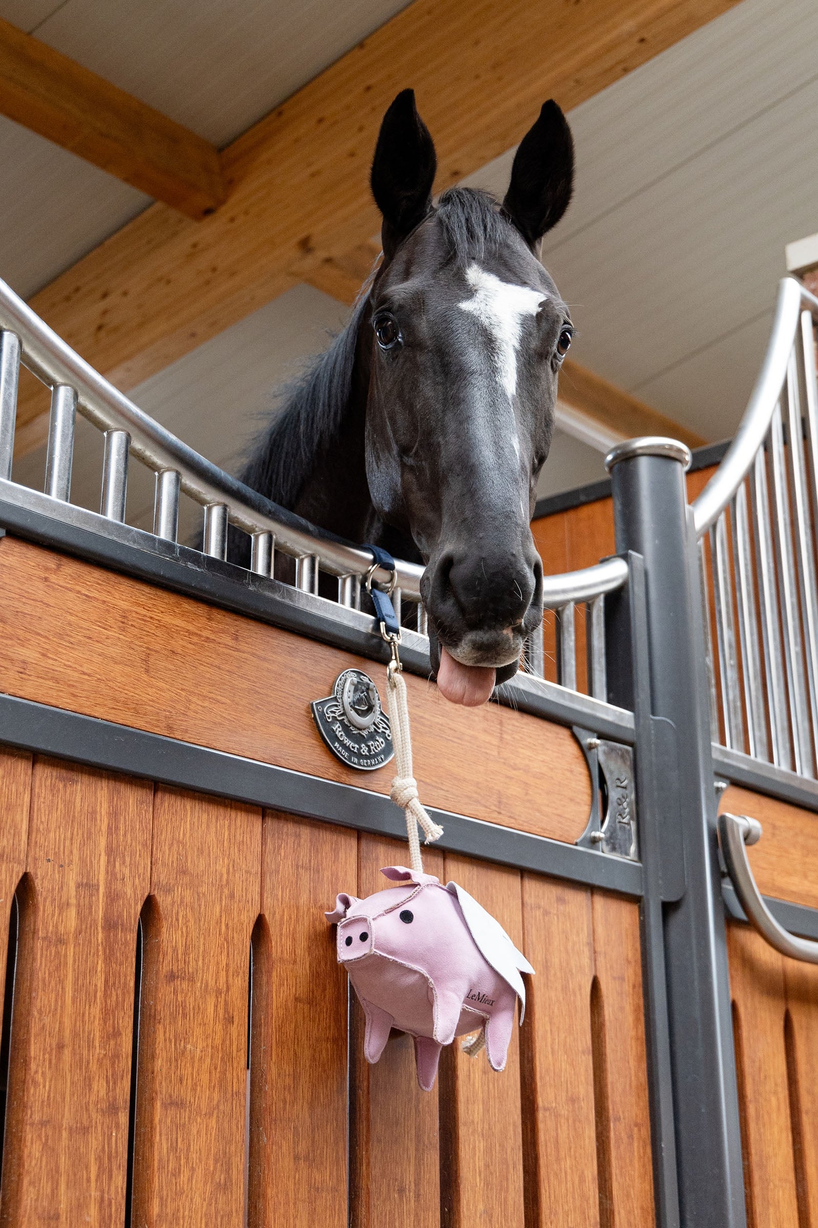 LeMieux Horse Toy Flying Pig Horse Toys & Riding Arena Supplies