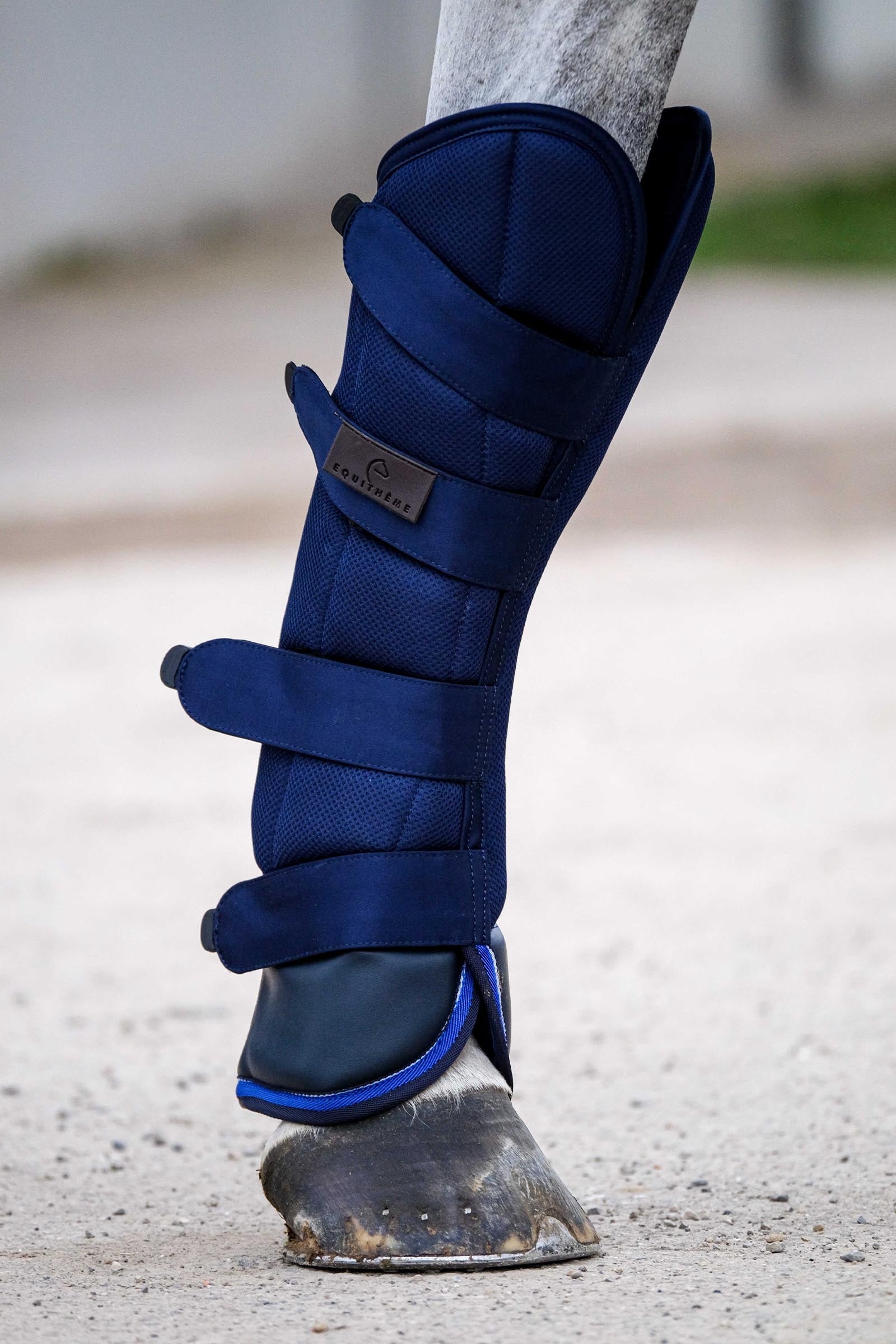 Equi Theme EQUITHÈME Classic transportbeschermers Leg & Hoof Protection