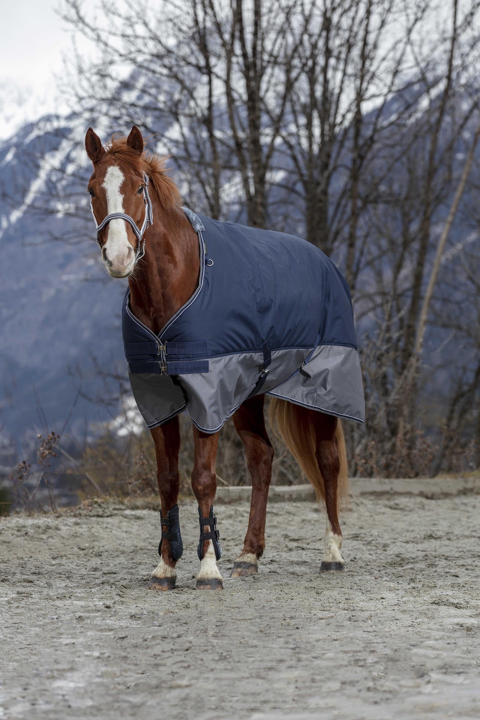 Equi Theme EQUITHÈME TYREX 600D outdoordeken 150g Paardendekens