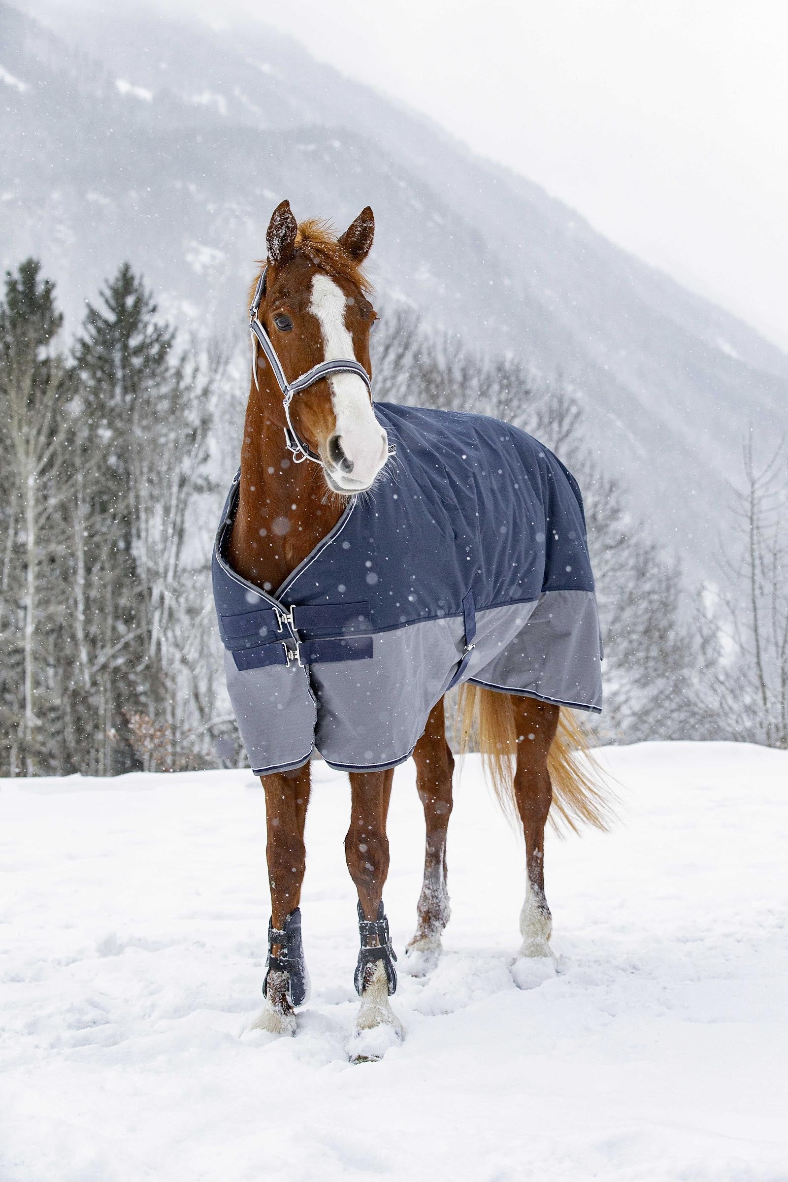 Equi Theme EQUITHÈME TYREX 600D Turnout Rug, 150g Horse Rugs