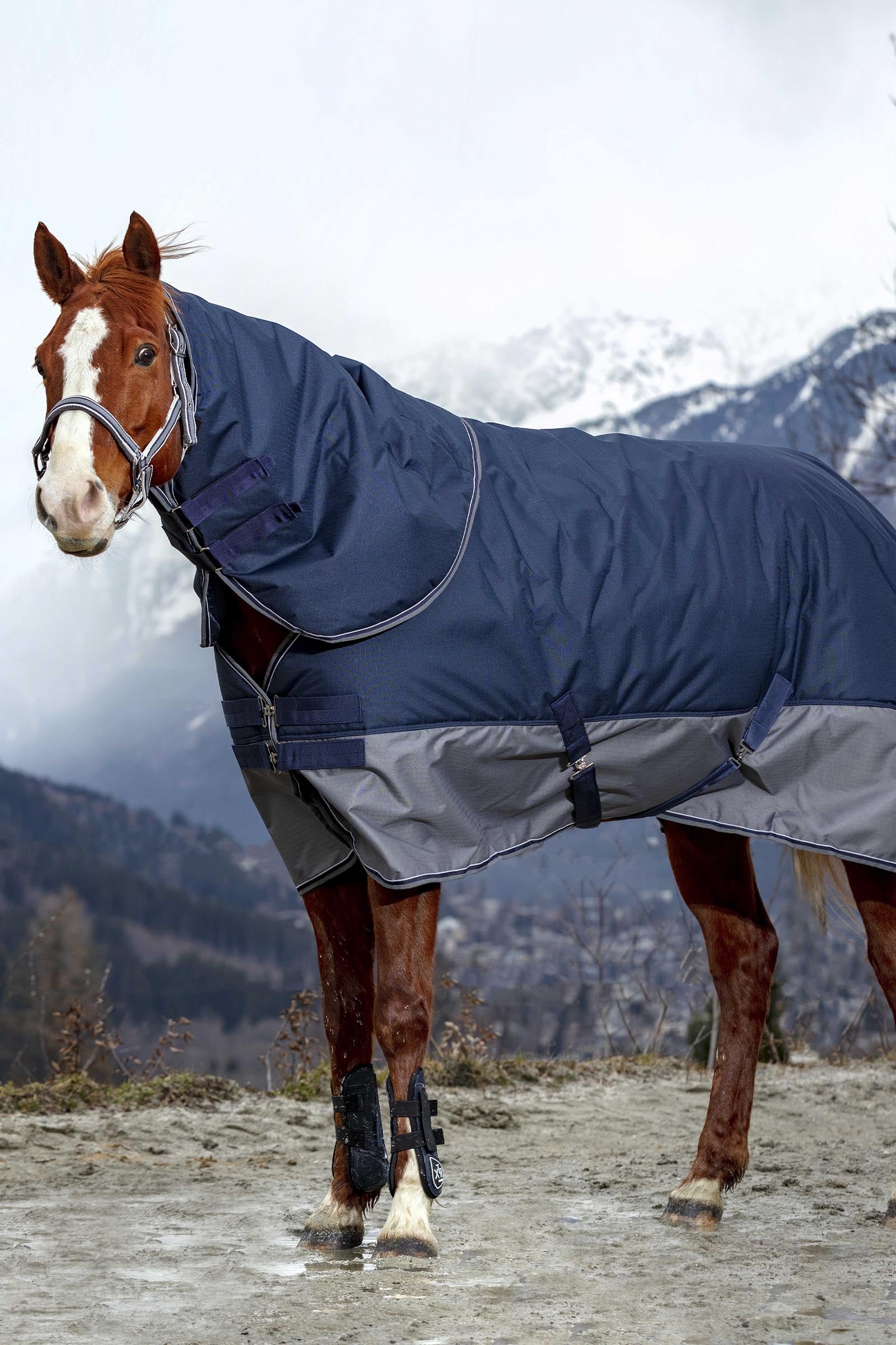 Equi Theme EQUITHÈME TYREX 600D Turnout Rug, 150g Horse Rugs