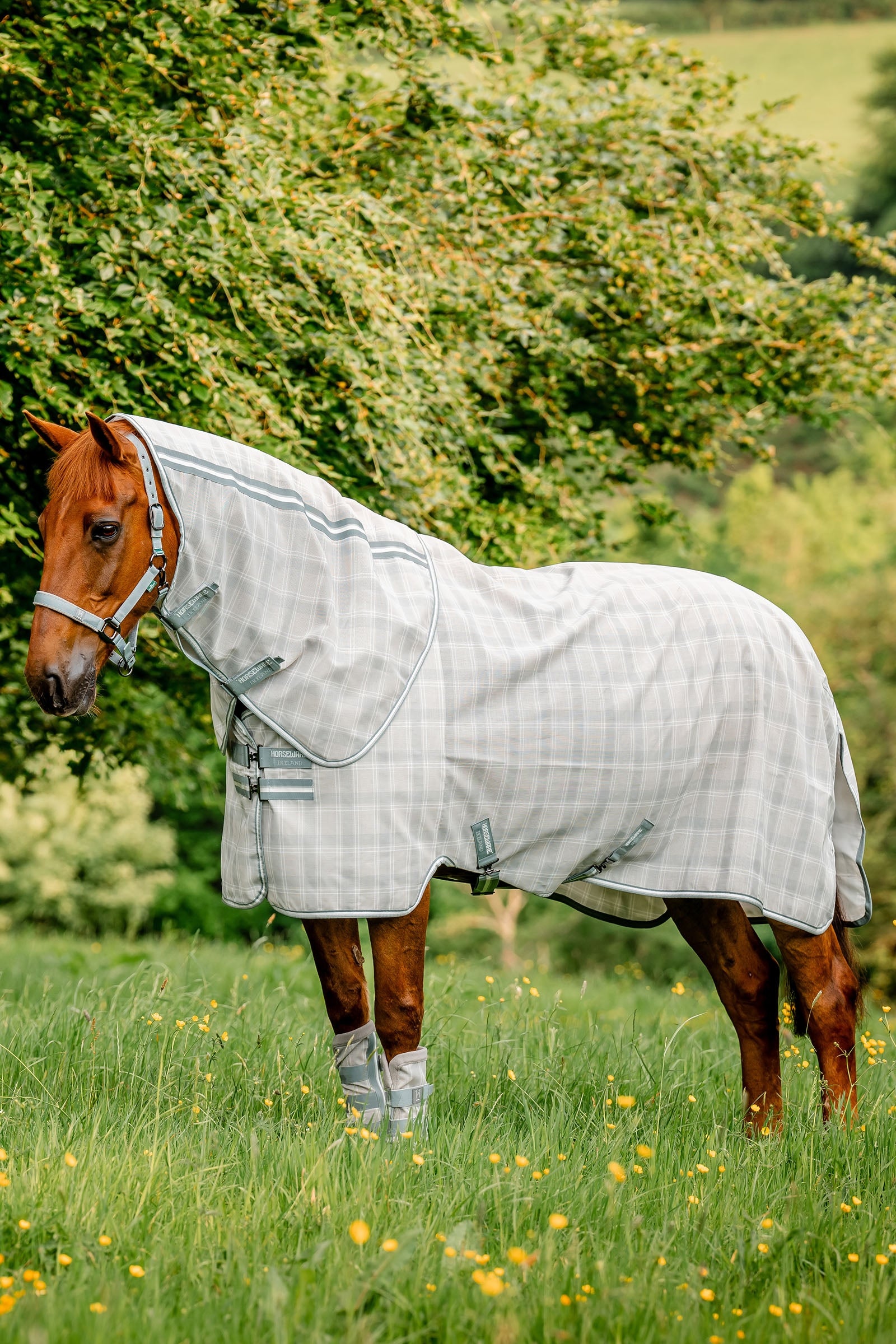 Horseware Newmarket Plus Fly Sheet Horse Rugs