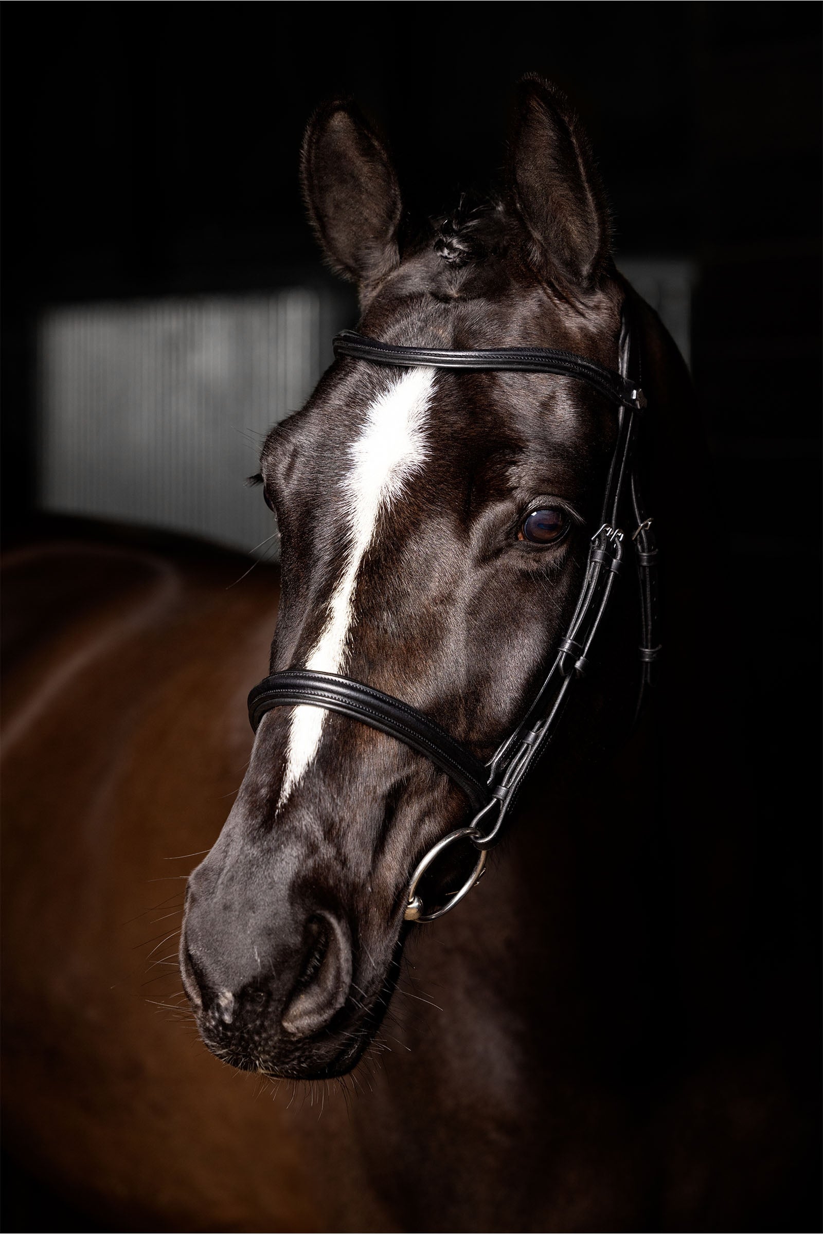 LeMieux Arika Cavesson Bridle Horse Training