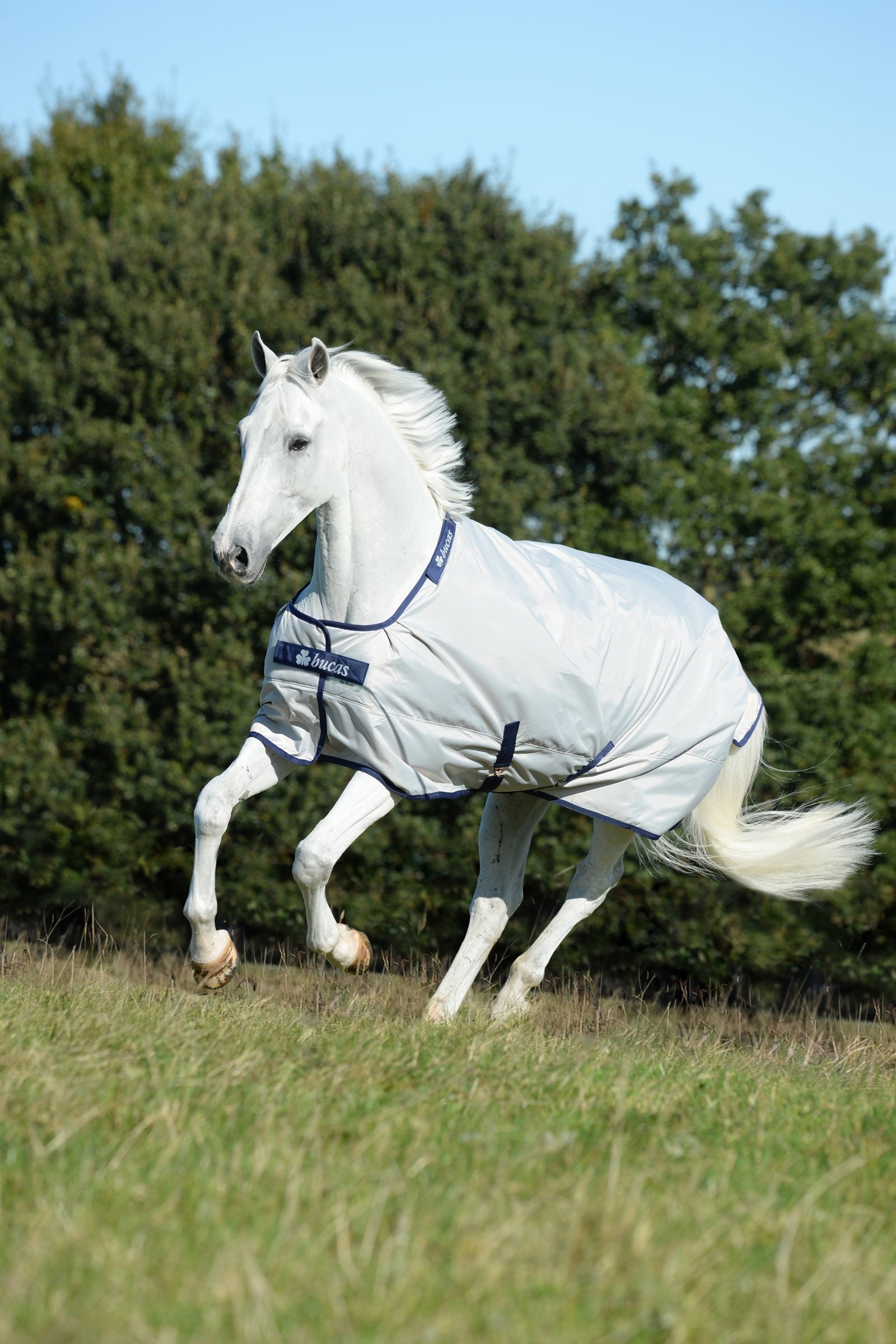 Bucas Sun Shower Turnout Rug, 0g Horse Rugs