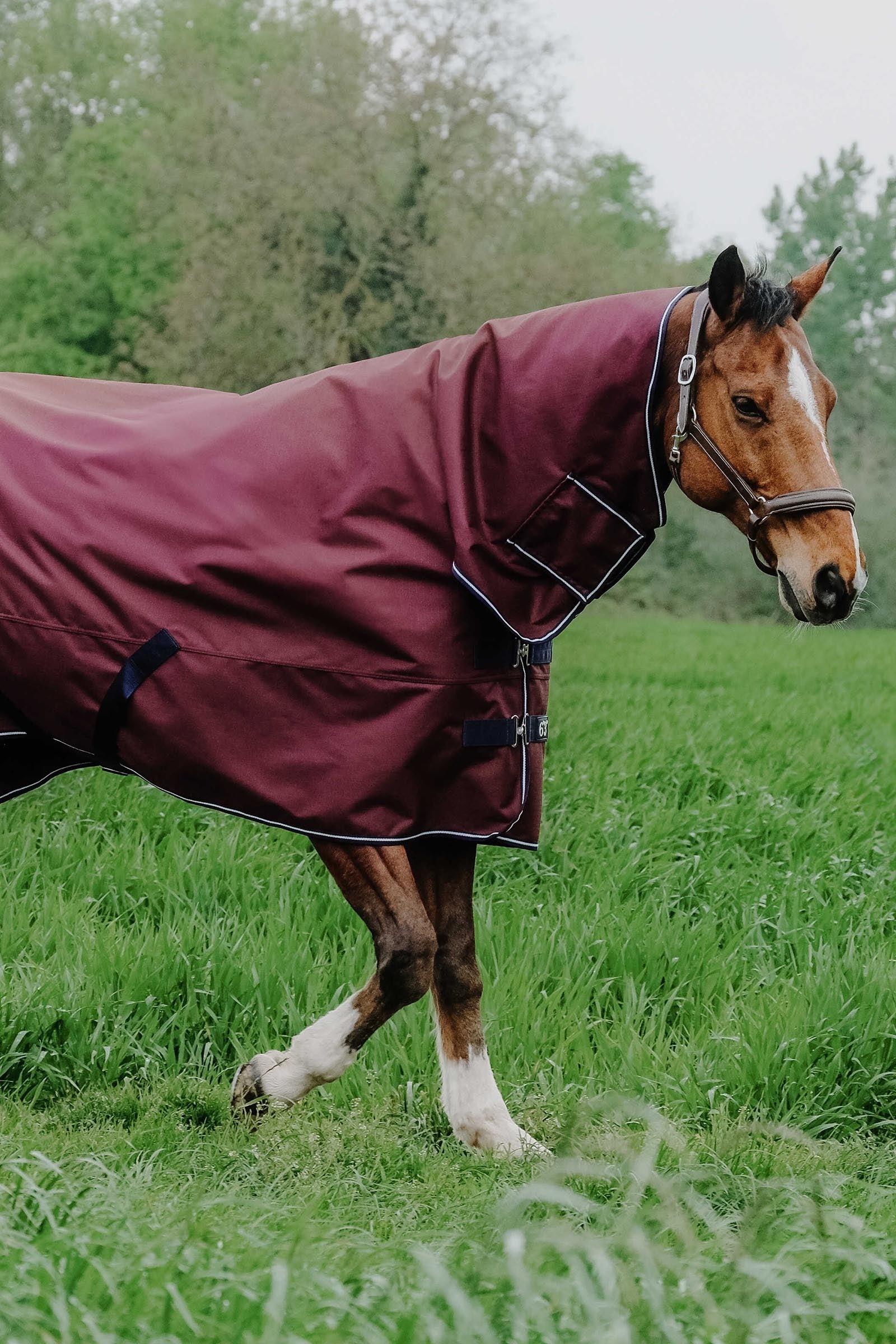 Equi Theme EQUITHÈME TYREX 1200D Combo Rug, 350 g Horse Rugs