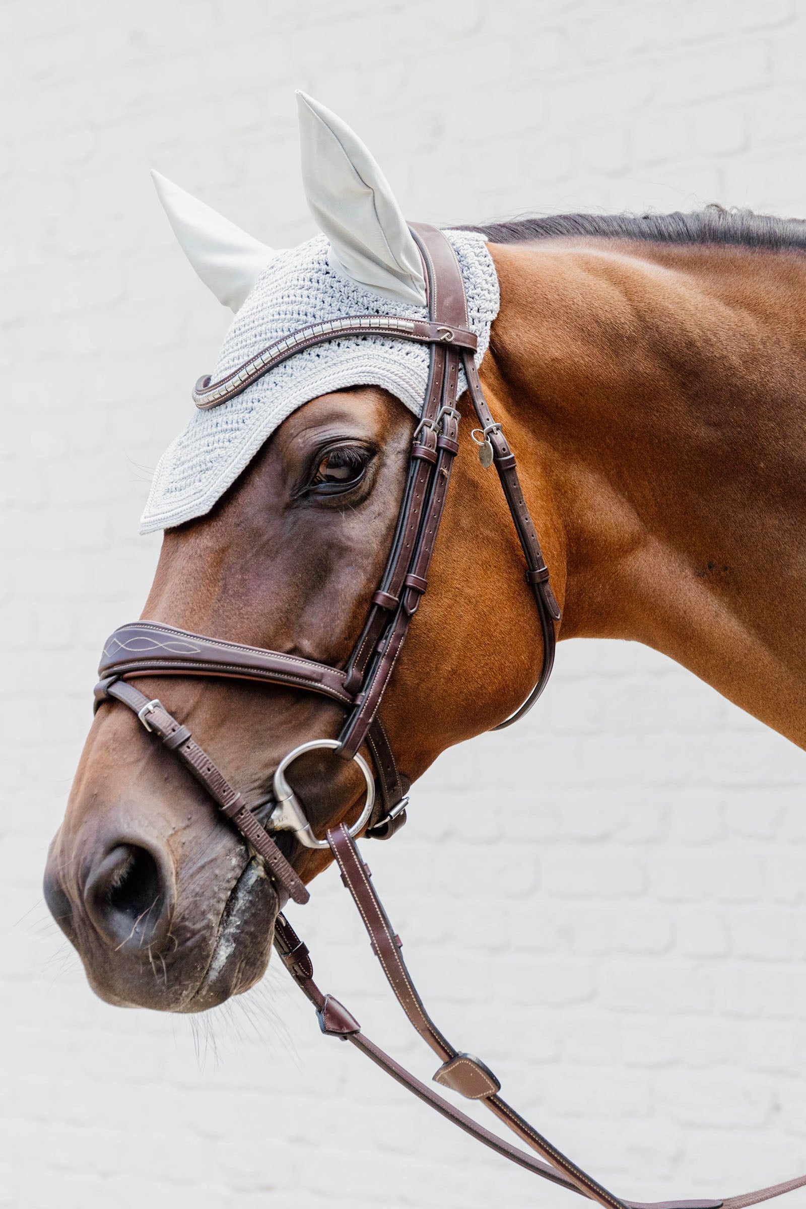 Kentucky Horsewear Fly veil Wellington diamond rope Soundless Saddle Pads
