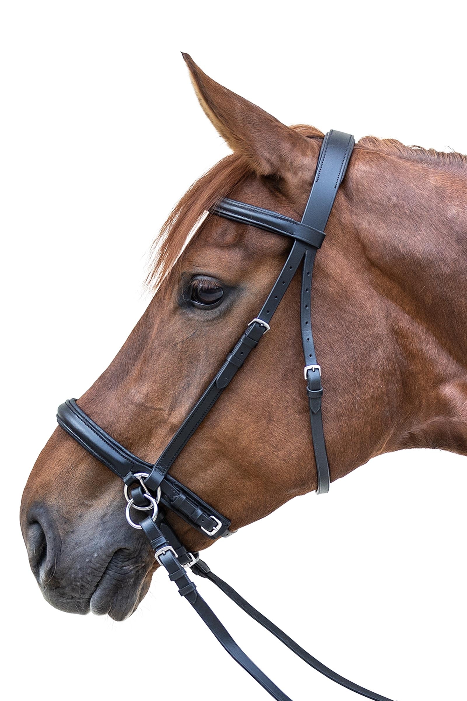 Star STAR Bitless Bridle Bridles & Reins